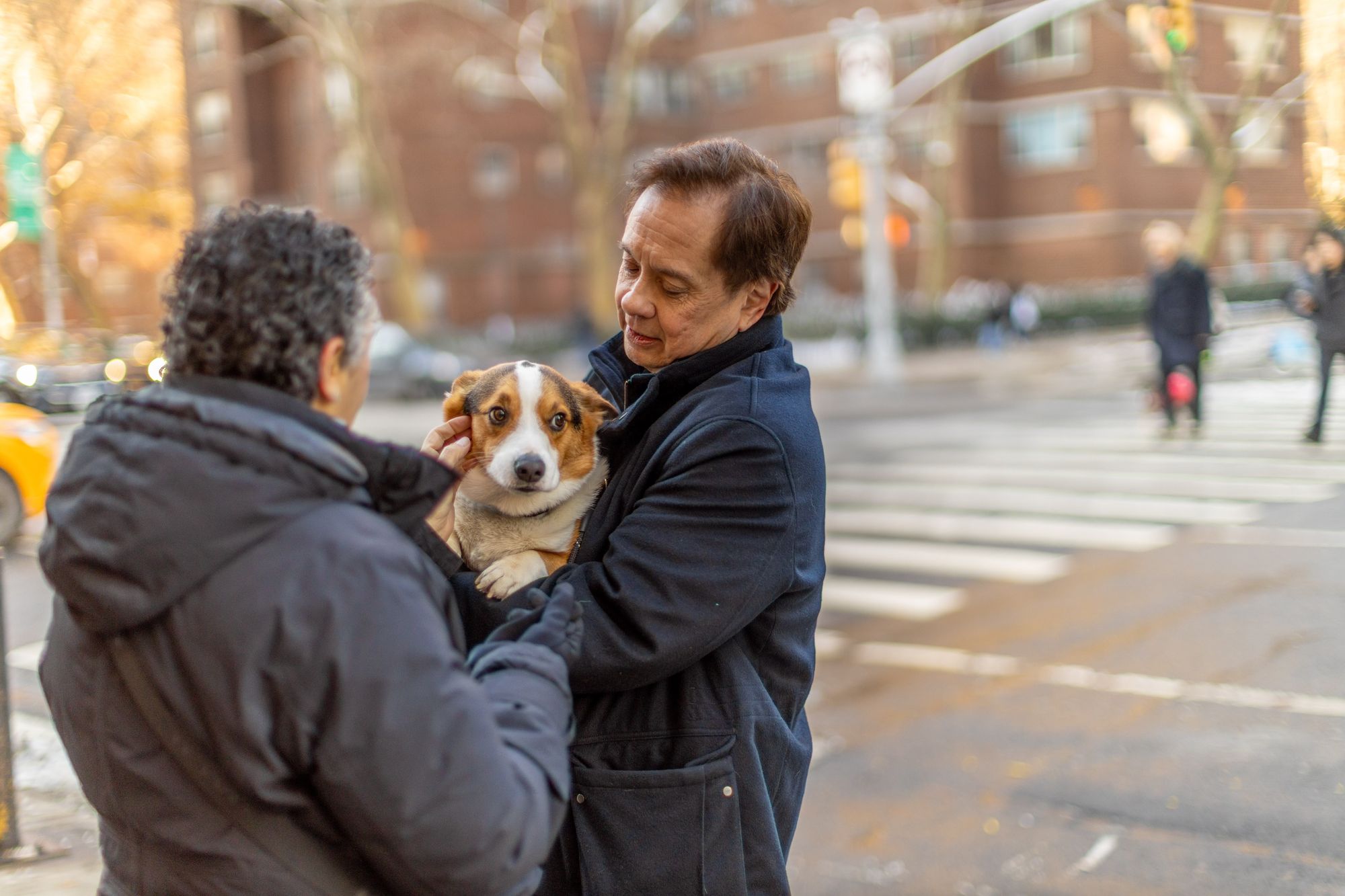 George Conway is pictured with his Pembroke Welsh Corgi, Clyde. He is running for Congress in a crowded Democratic primary to represent part of New York City. He told The Independent about his political shift and why is running for Congress.