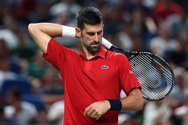 <p>Djokovic has withdrawn from the Adelaide International</p>
