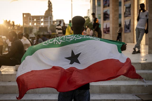 <p>A man holds a flag of Somaliland</p>