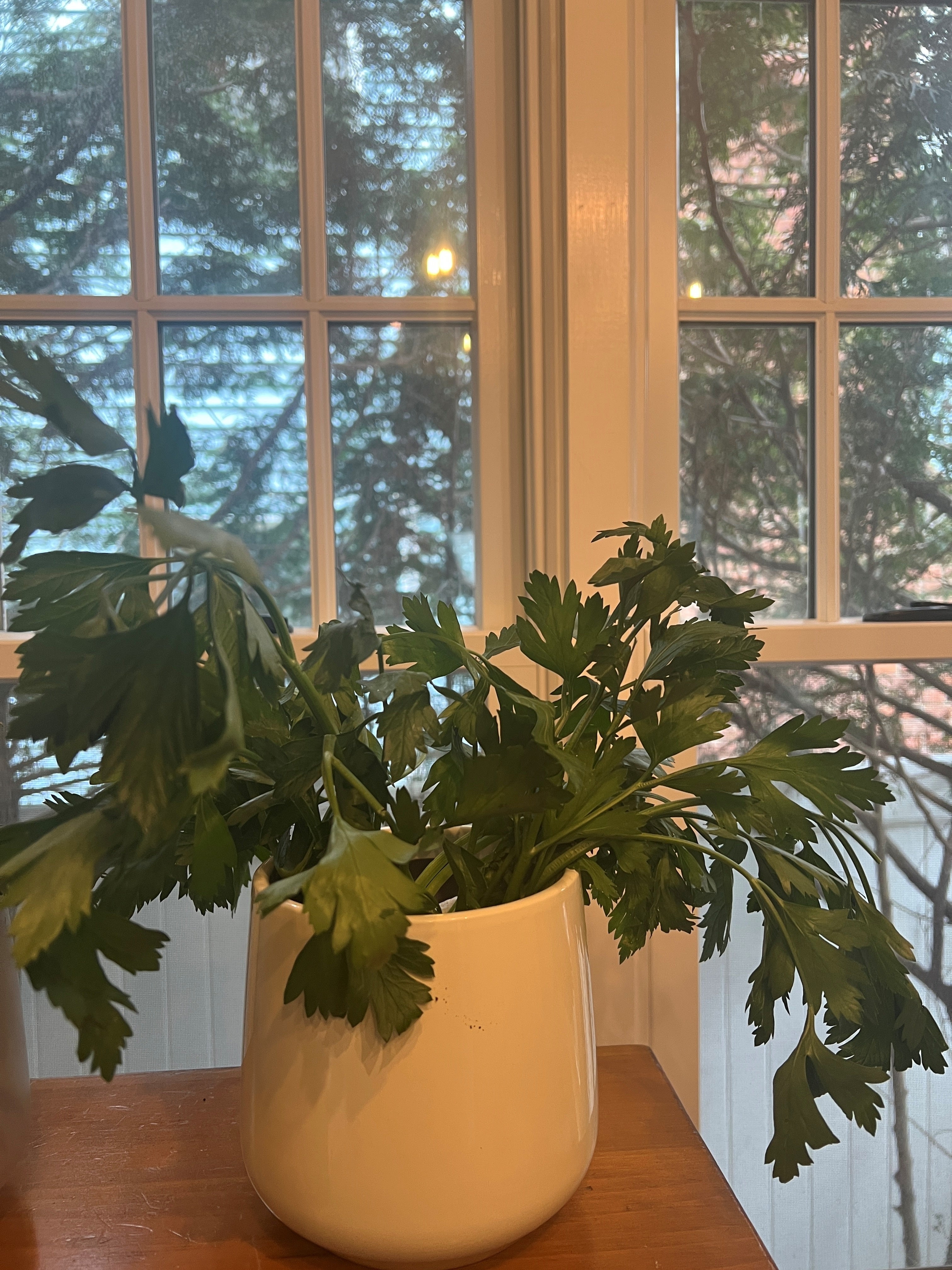 Gardening-Indoor Herbs