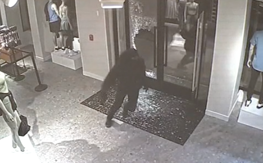 Police hunt for masked suspects who looted a Pennsylvania Lululemon in overnight smash and grab