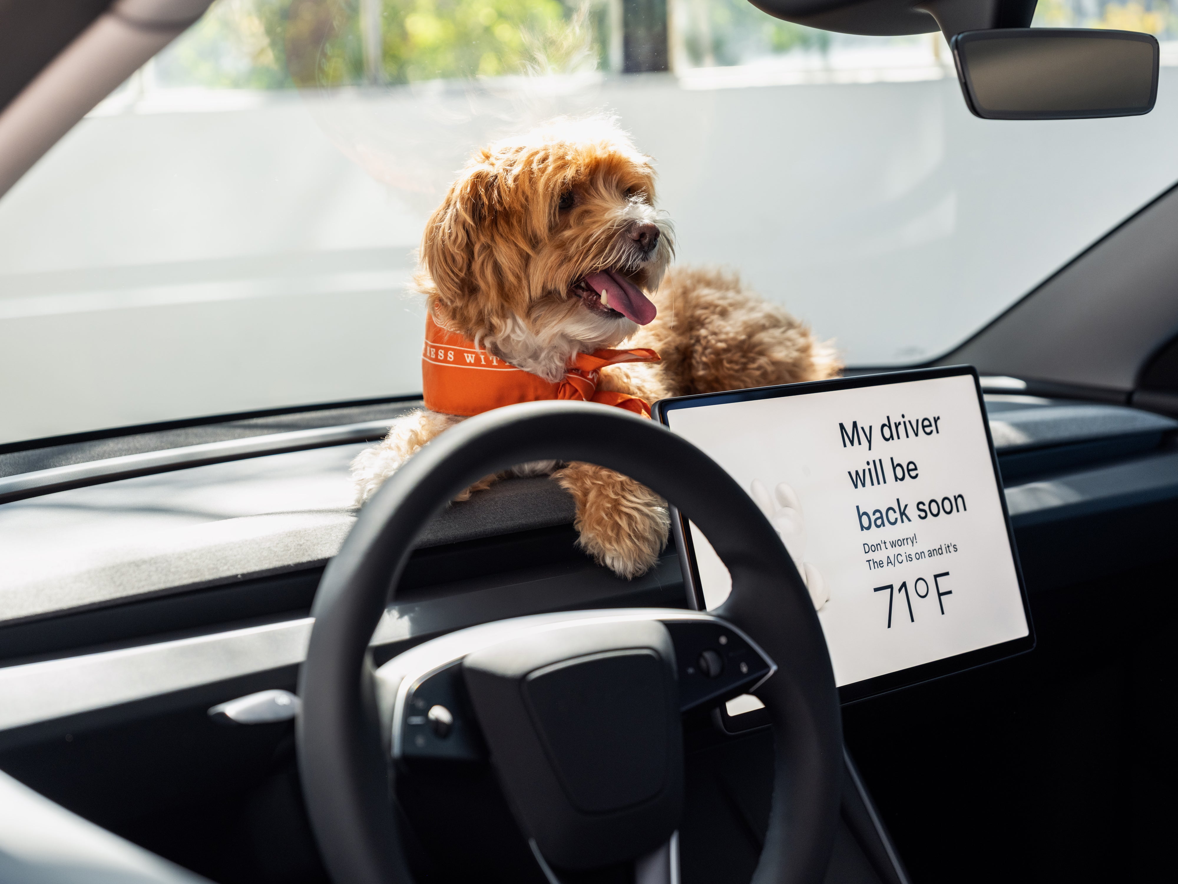 Among the many high-tech features in the Tesla Model 3 Standard is a Dog Mode that ensures your pooch gets aircon when left alone in the car