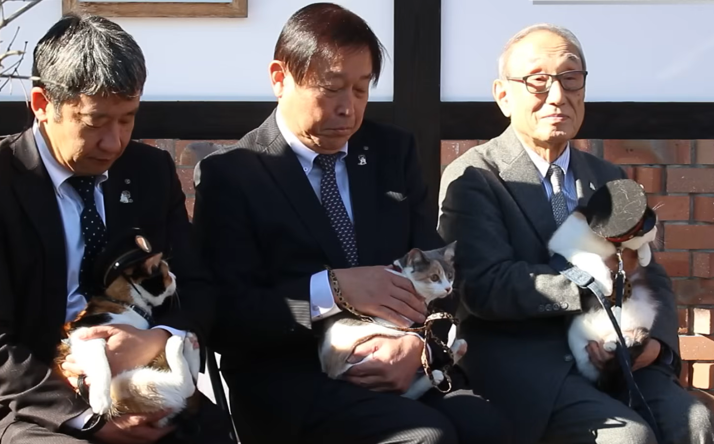 Yontama (R) has been officially named as the 3rd feline stationmaster at Kishi Station. Rokutama (C), the newest cat to join the line as a stationmaster-in-training