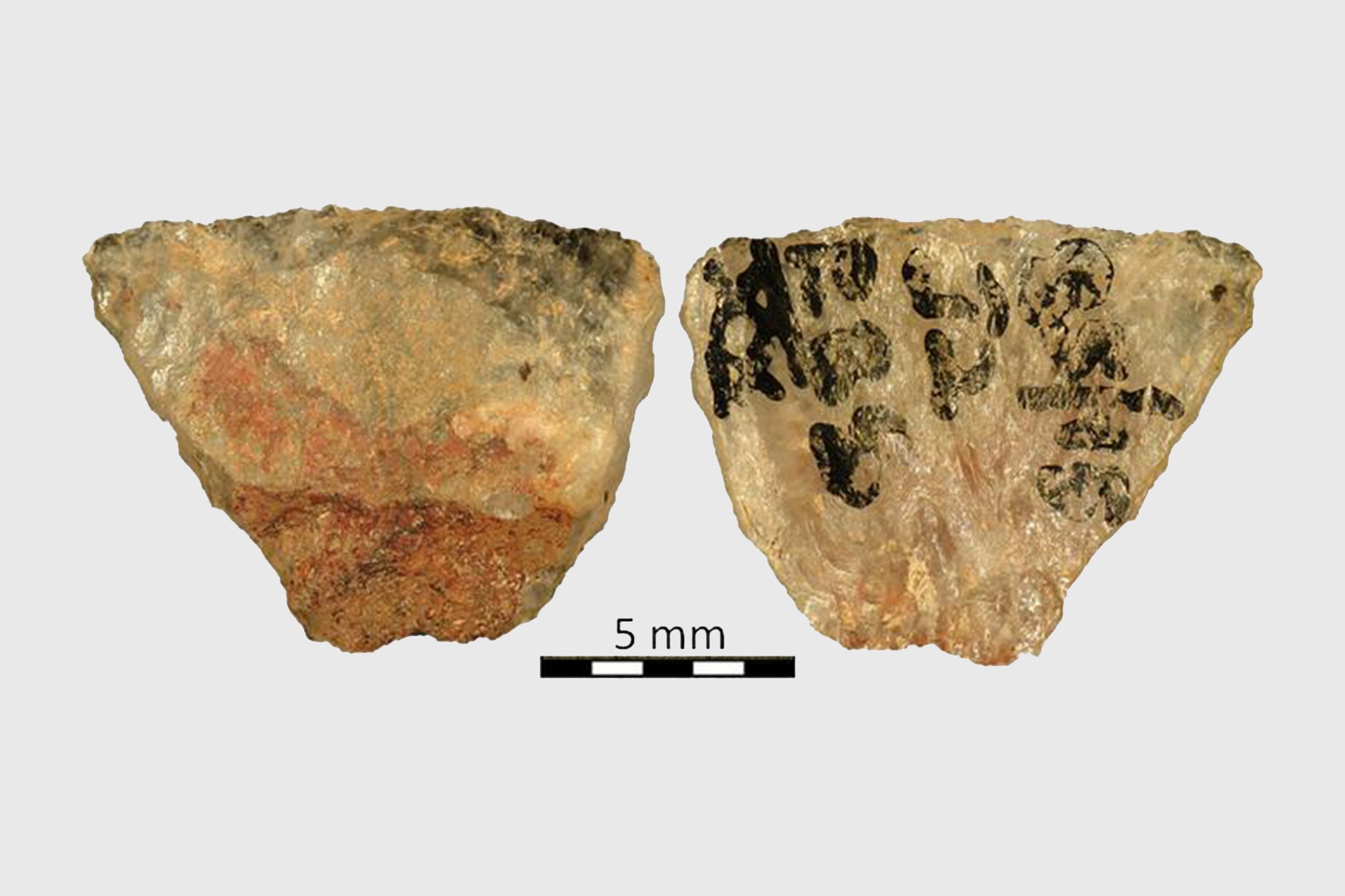 Researchers have identified traces of plant poison from the South African plant gifbol on Stone Age arrowheads – the oldest known arrow poison in the world to date.