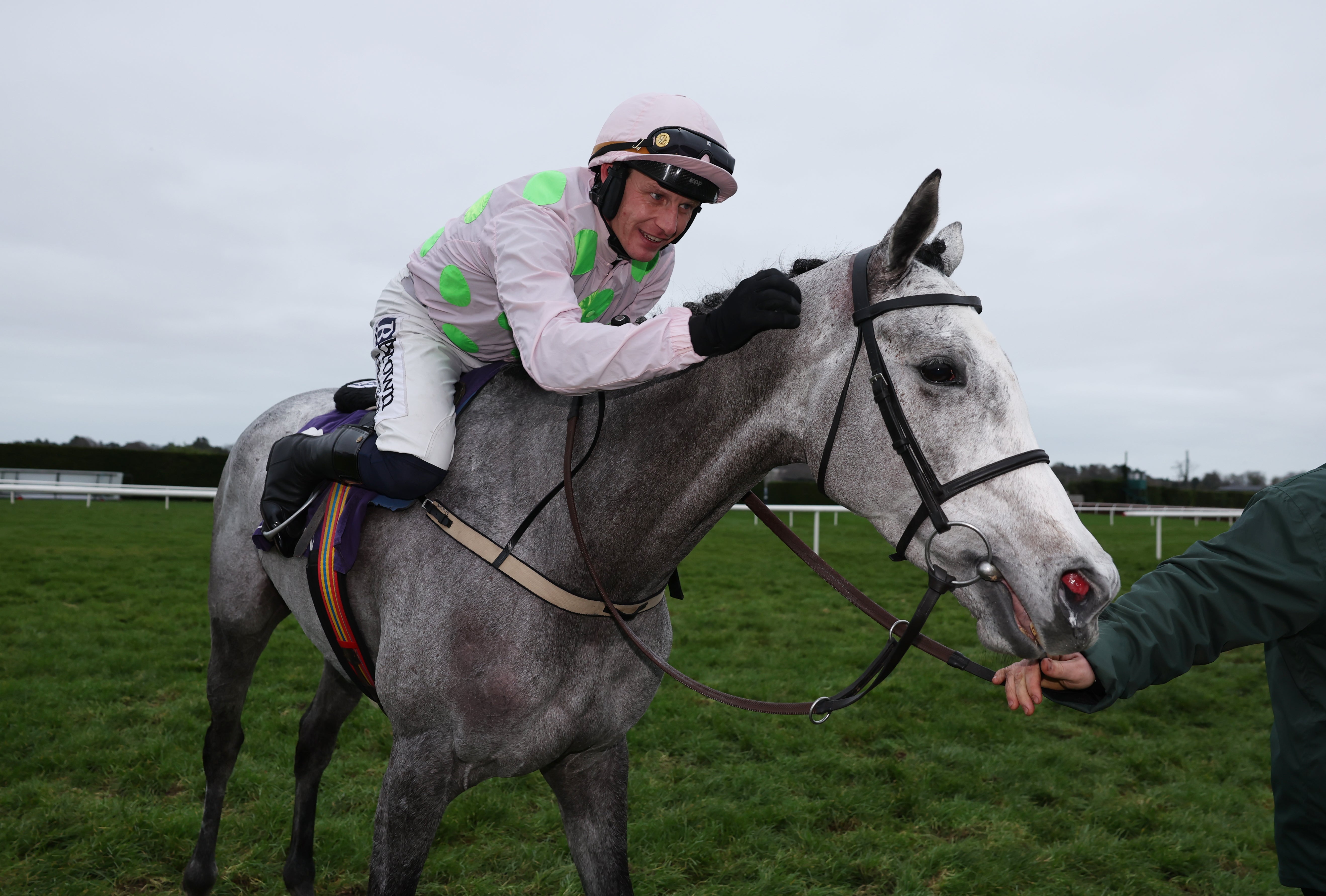 <p>Will Lossiemouth will at the Cheltenham Festival again in 2026?</p>