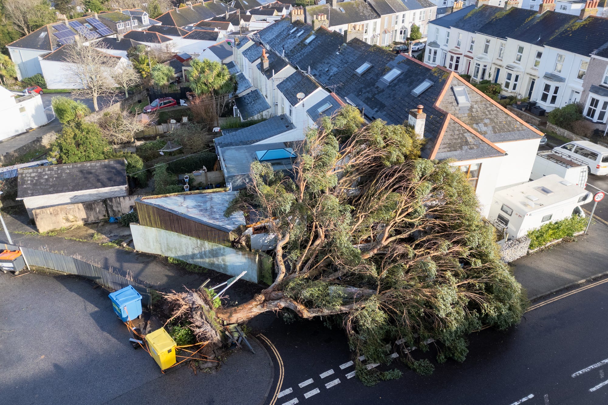 A fallen tree in Falmouth, Cornwall (Matt Keeble/PA)
