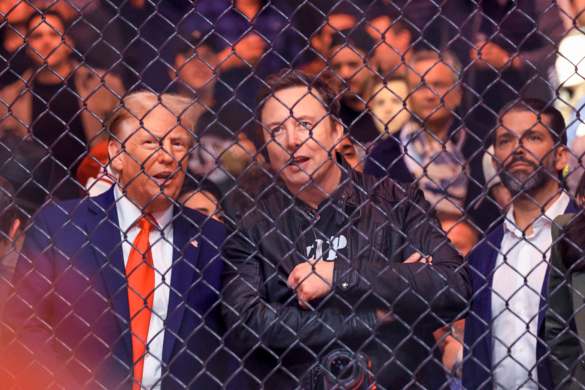 President Donald Trump has attended a number of UFC fights, including one in November 2024 with his son, Donald Trump Jr., and Elon Musk
