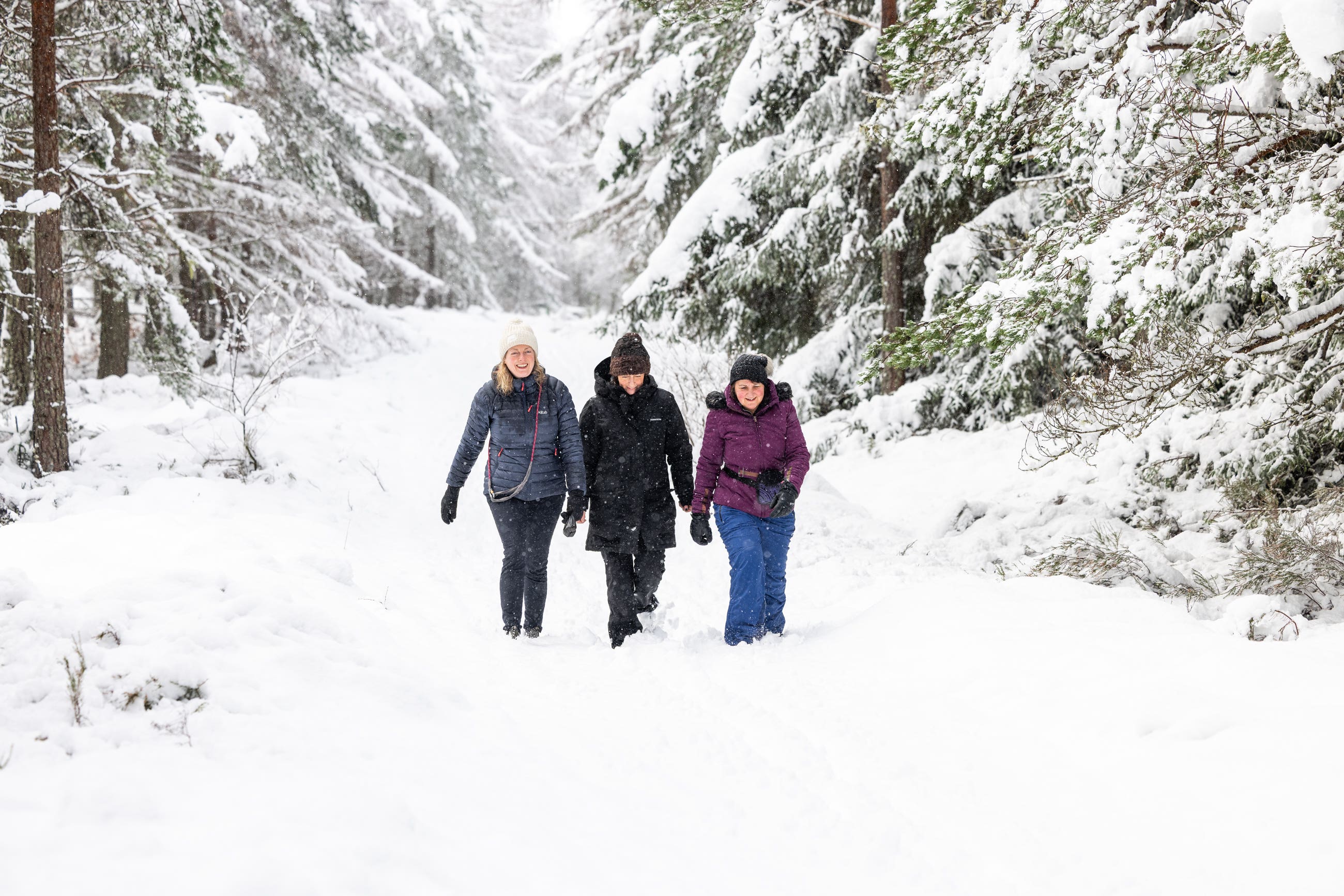 <p>Heavy snow fell across the UK this week</p>