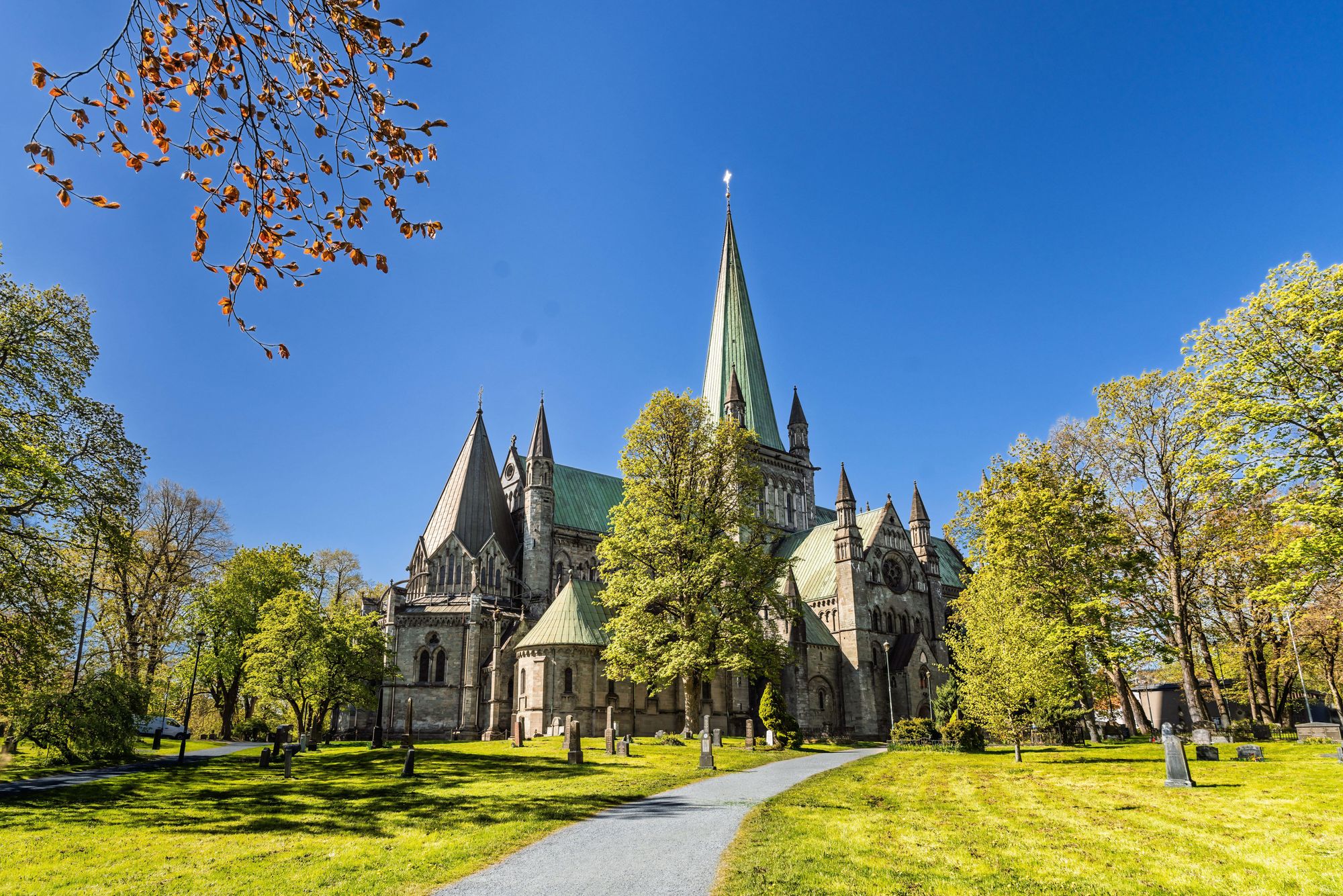 Delve into Norway’s fascinating history with a cruise that takes you to diverse locales boasting fascinating sites and immerses you in local communities