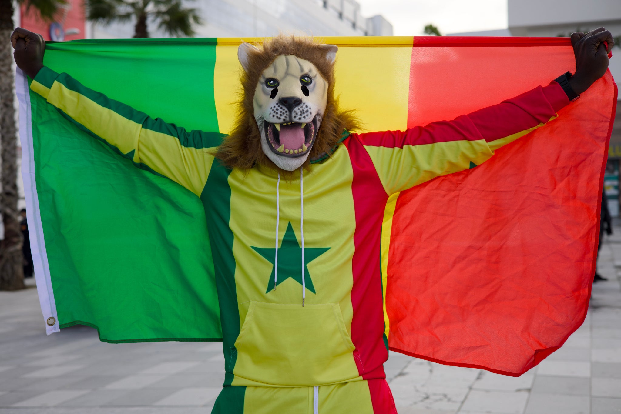 Senegal fan Pape, dressed as a lion, holds the Senegal flag at the Africa Cup of Nations in Tangier, Morocco, Dec. 23, 2025. (AP Photo/Ciaran Fahey)