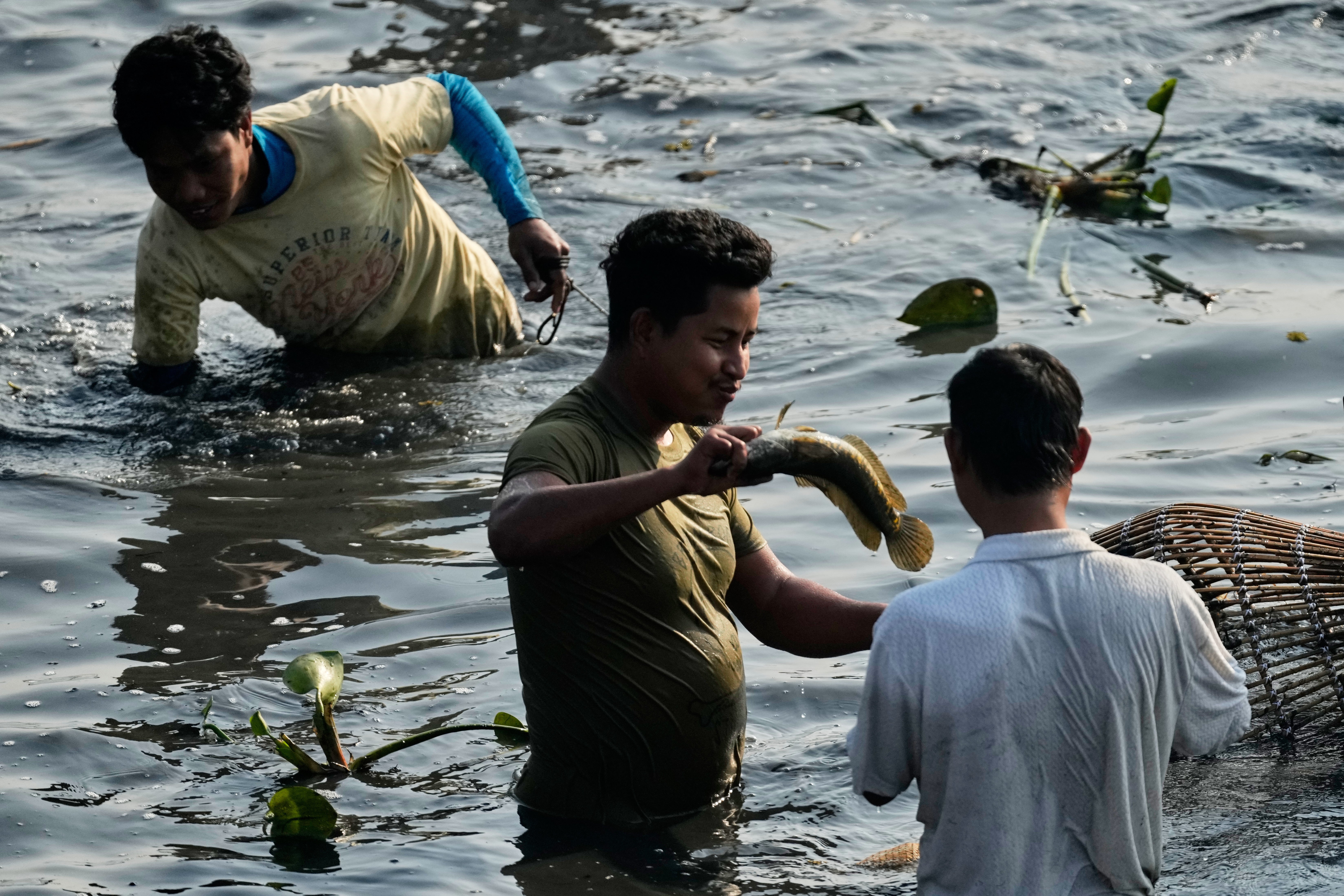 India Community Fishing