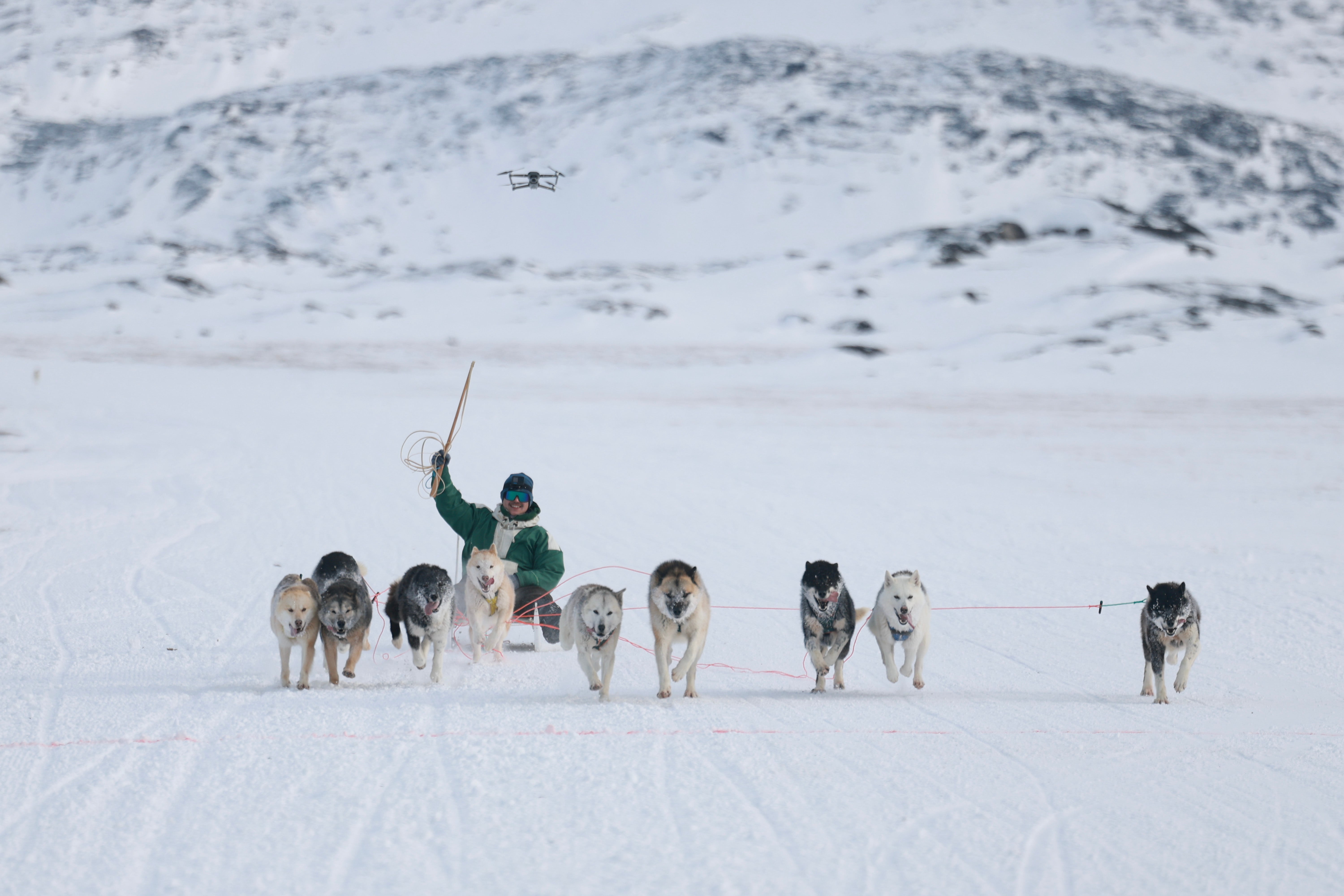 <p>Organizers of Greenland’s annual national dog sled race have questioned who invited Donald Trump’s U.S. envoy to the event, saying that its presence would be ‘wholly inappropriate’ amid ongoing tensions between the two nations</p>