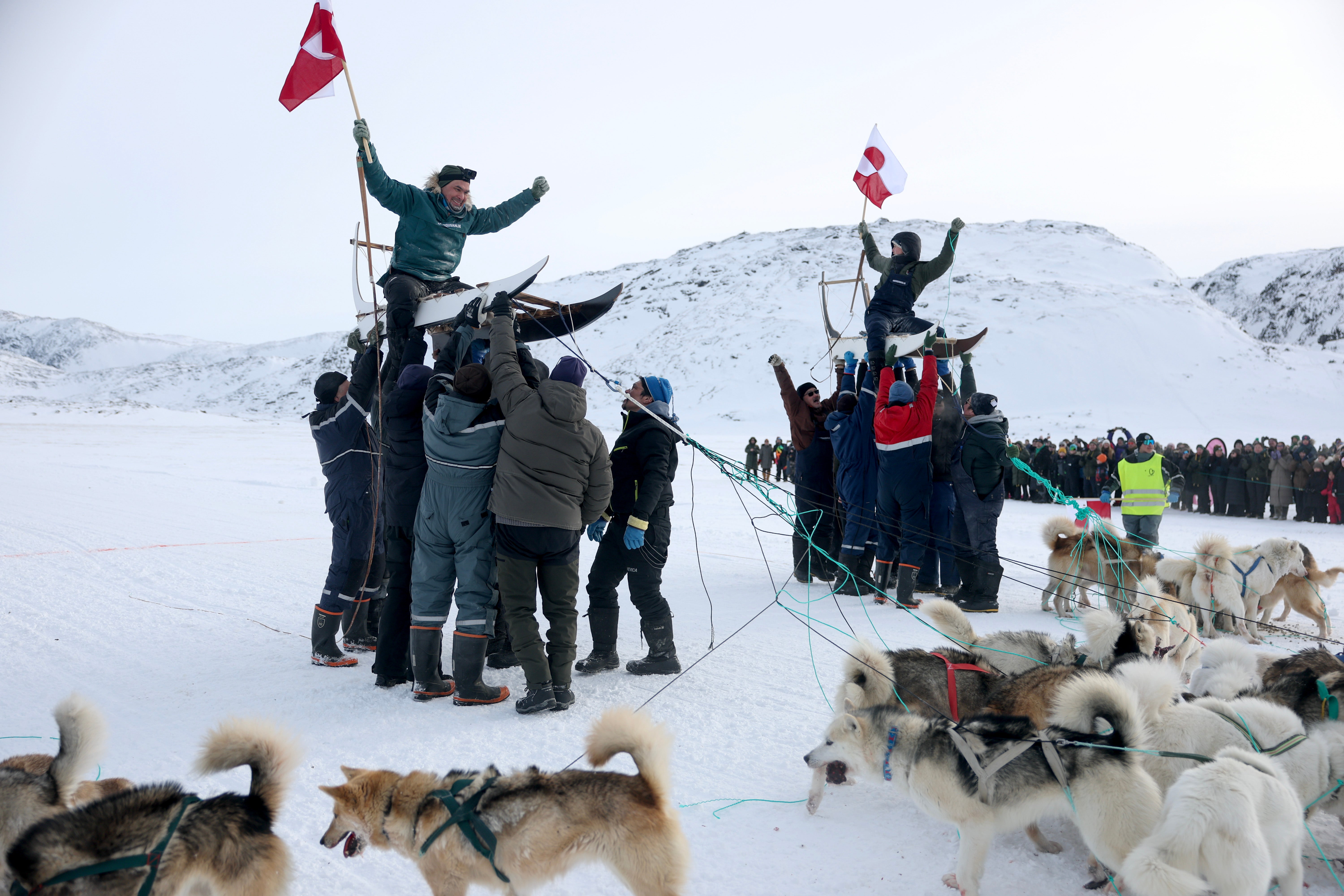 Avannaata Qimussersua is Greenland's annual national sled dog race and each year brings together approximately 37 mushers and their 444 dogs from across the country