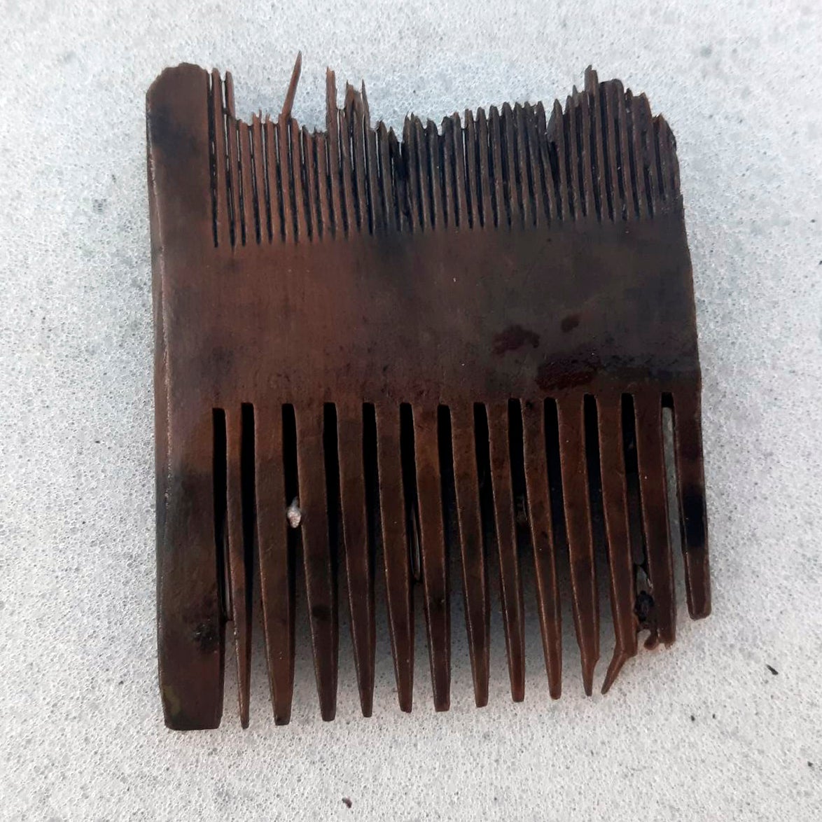 Comb found on the shipwreck