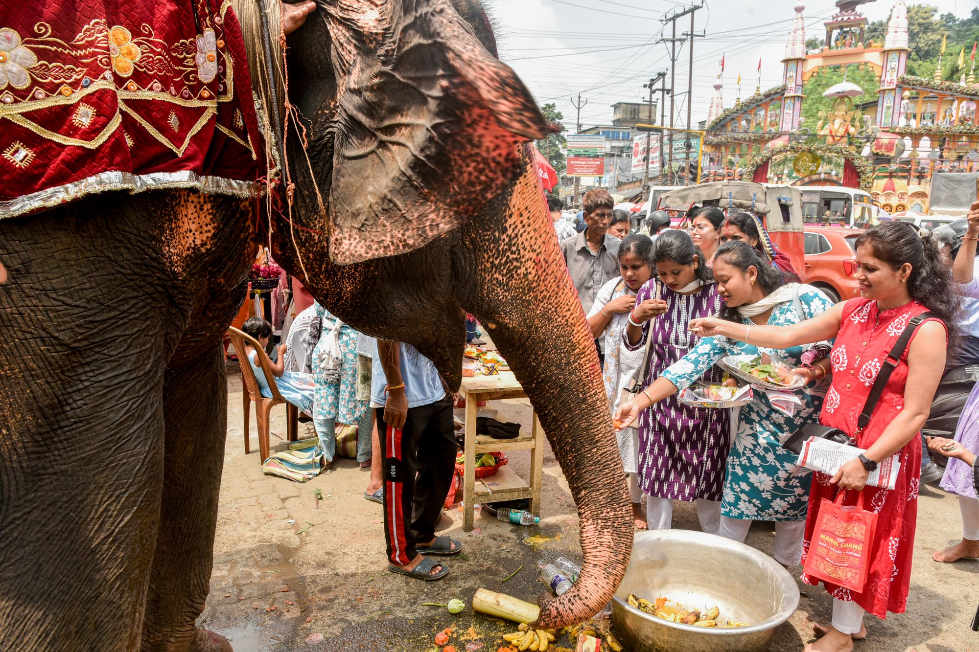 <p>Representational: Devotees feed an elephant outside a Ganesh temple during Ganesh Chaturthi in Guwahati, India</p>