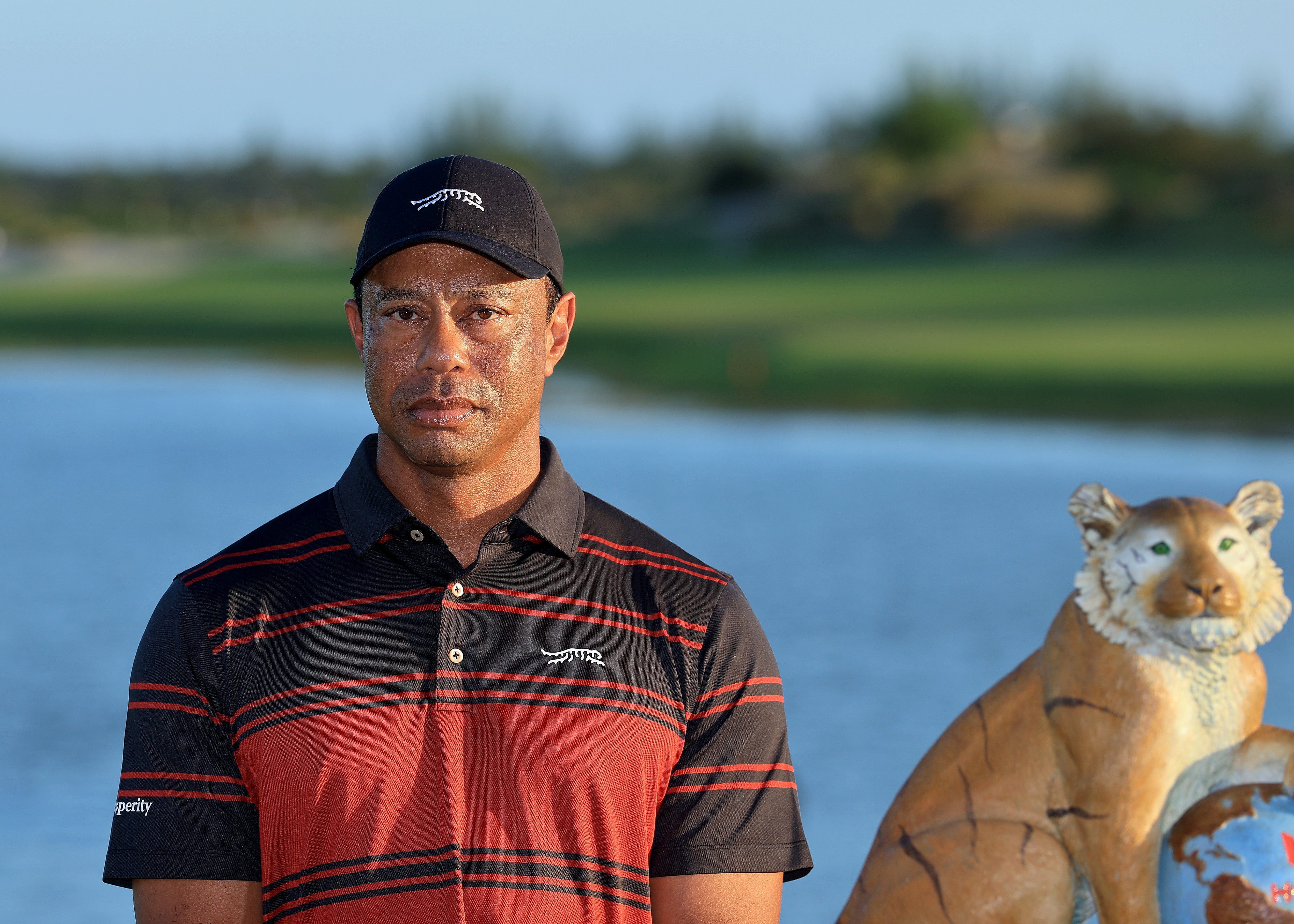 Tiger Woods is recovering from a seventh back surgery