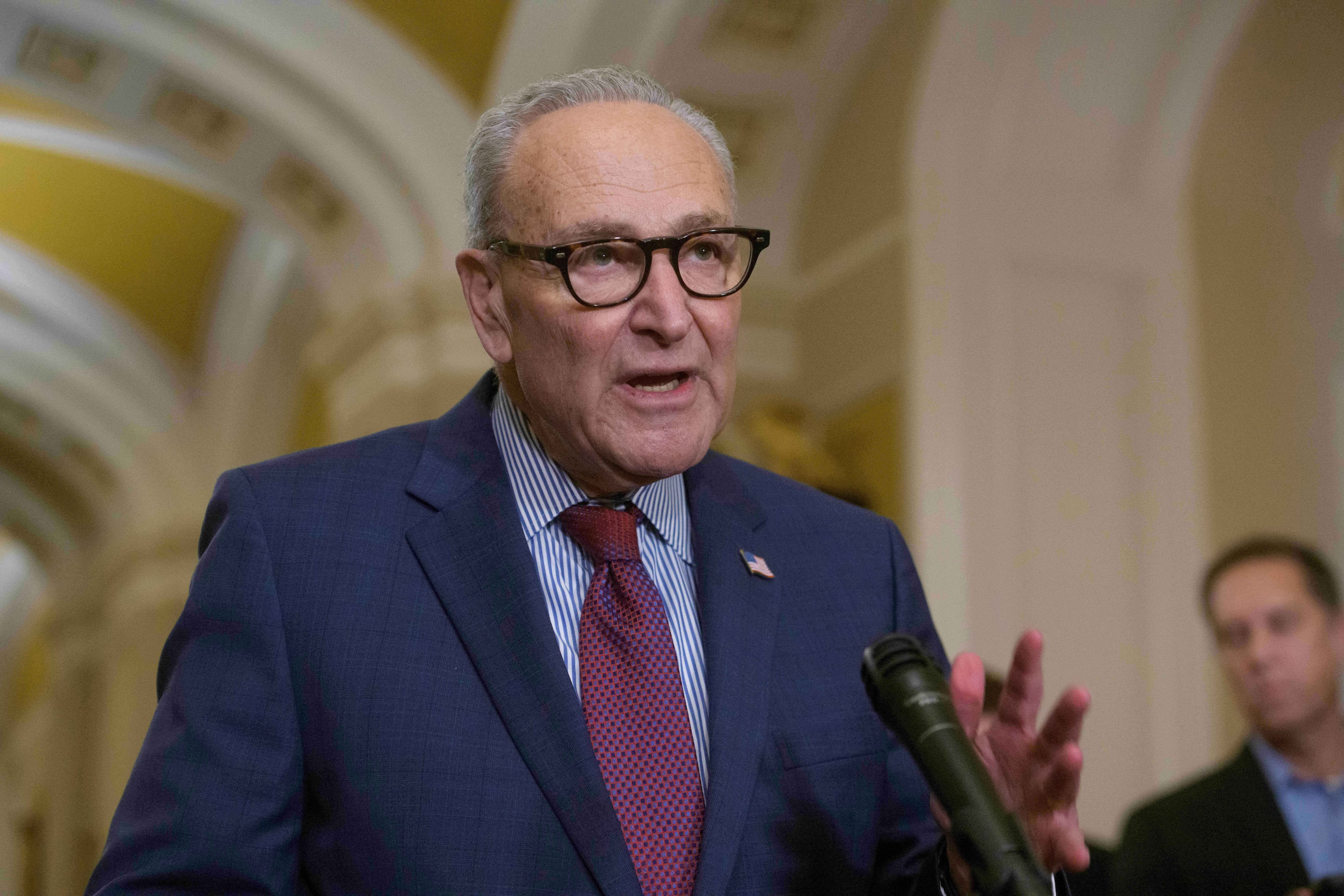 Senate Minority Leader Chuck Schumer (D-N.Y.) said that Democrats would oppose spending bills if money for the Department of Homeland Security is included