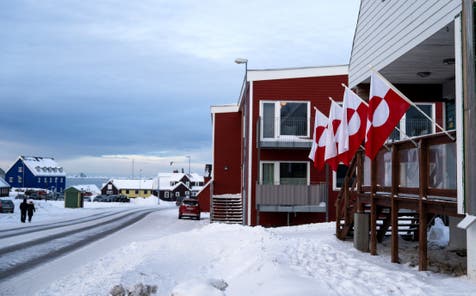 <p>Greenlandic flags in Nuuk</p>