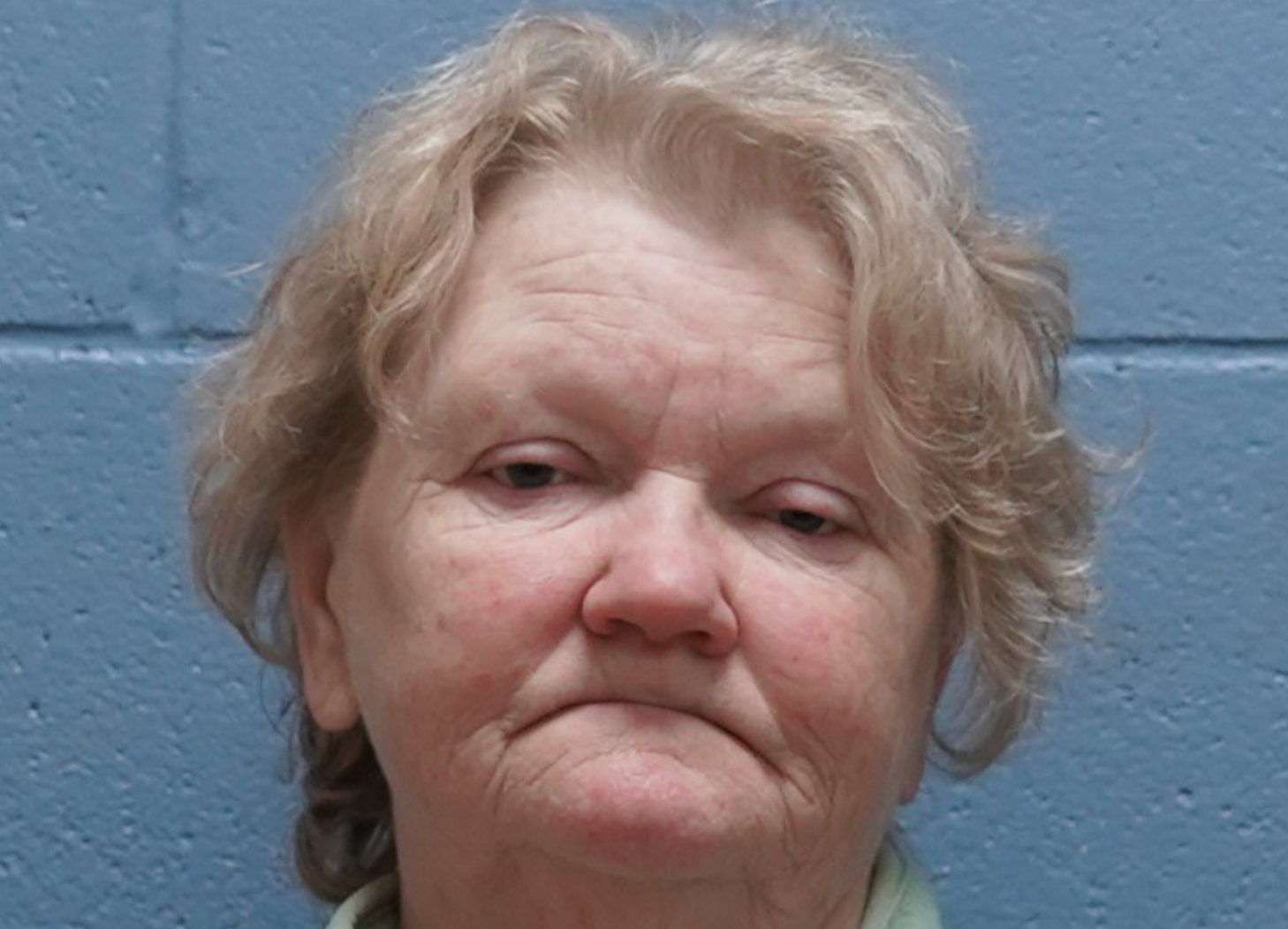 Patricia Ann Sims was also arrested, with the trio facing a total of 111 charges