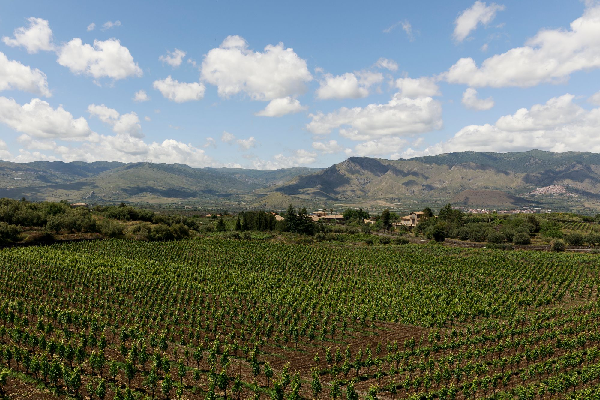 Views over Castiglione in Sicily