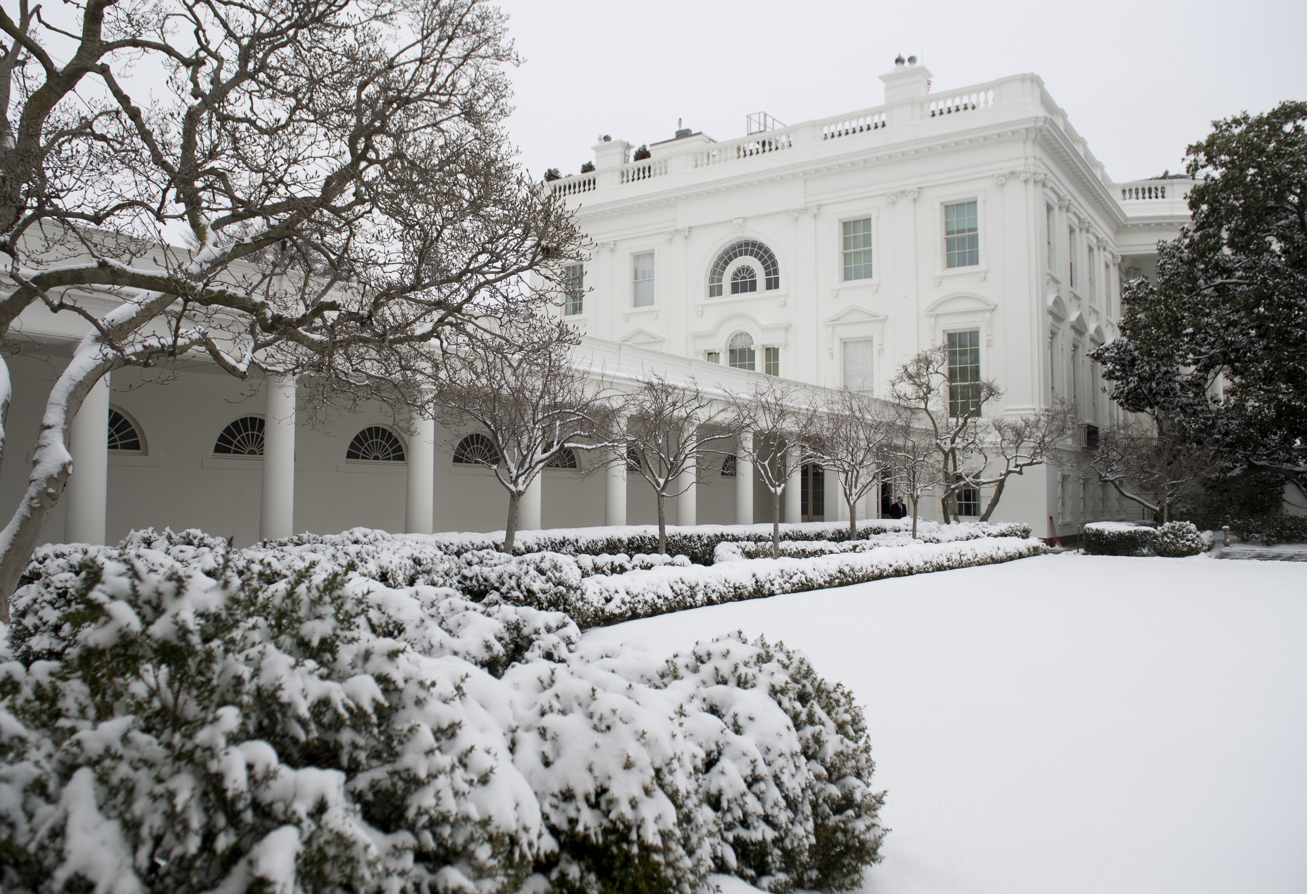 The Rose Garden and colonnade as they appeared during the Obama administration, pictured in this 2014 photograph