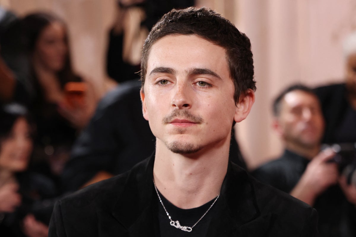 Understanding Timothee Chalamet's 'pursuit of greatness'