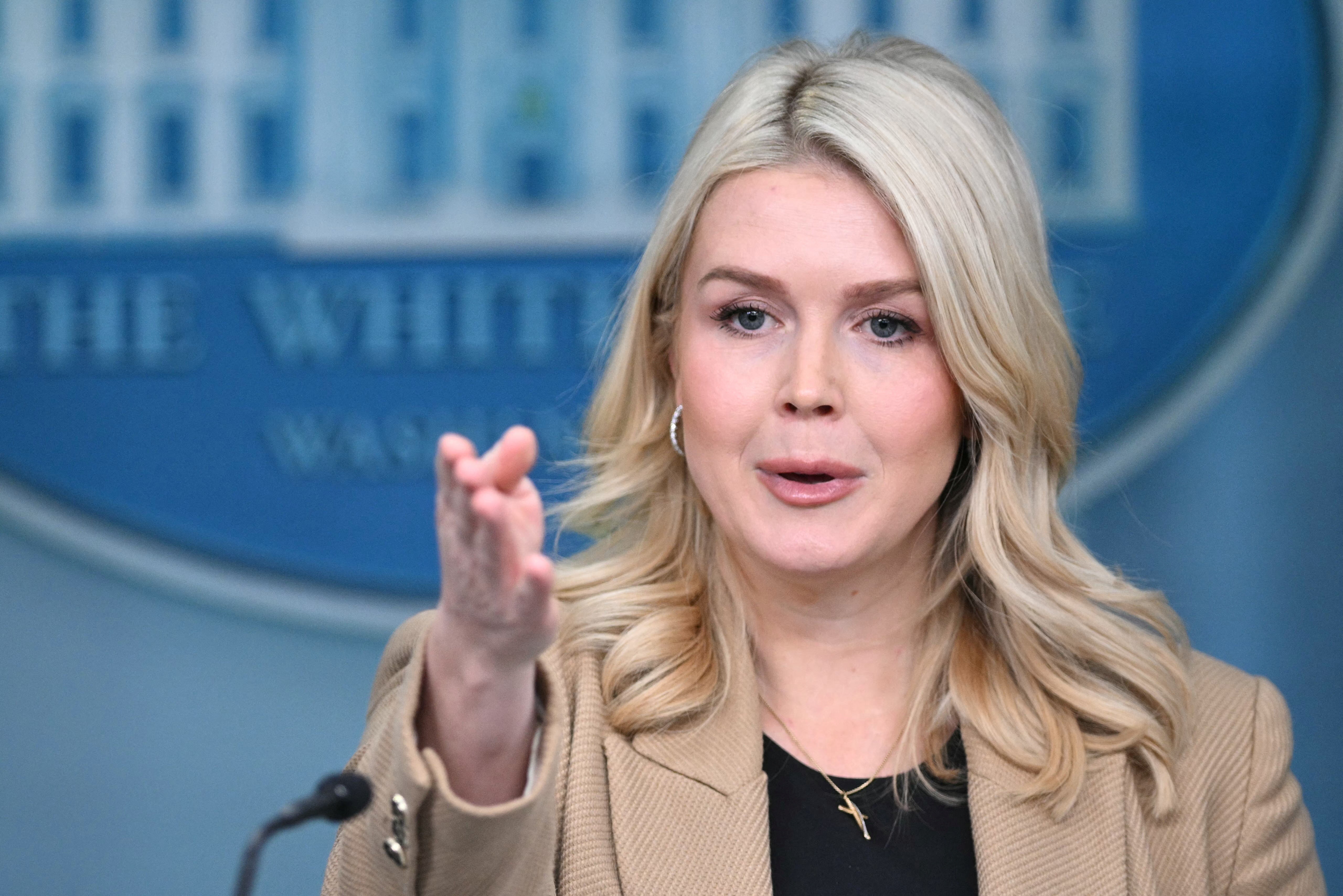 <p>White House Press Secretary Karoline Leavitt lashed out at a reporter after who said an ICE officer ‘acted recklessly’ in the killing of Renee Good</p>