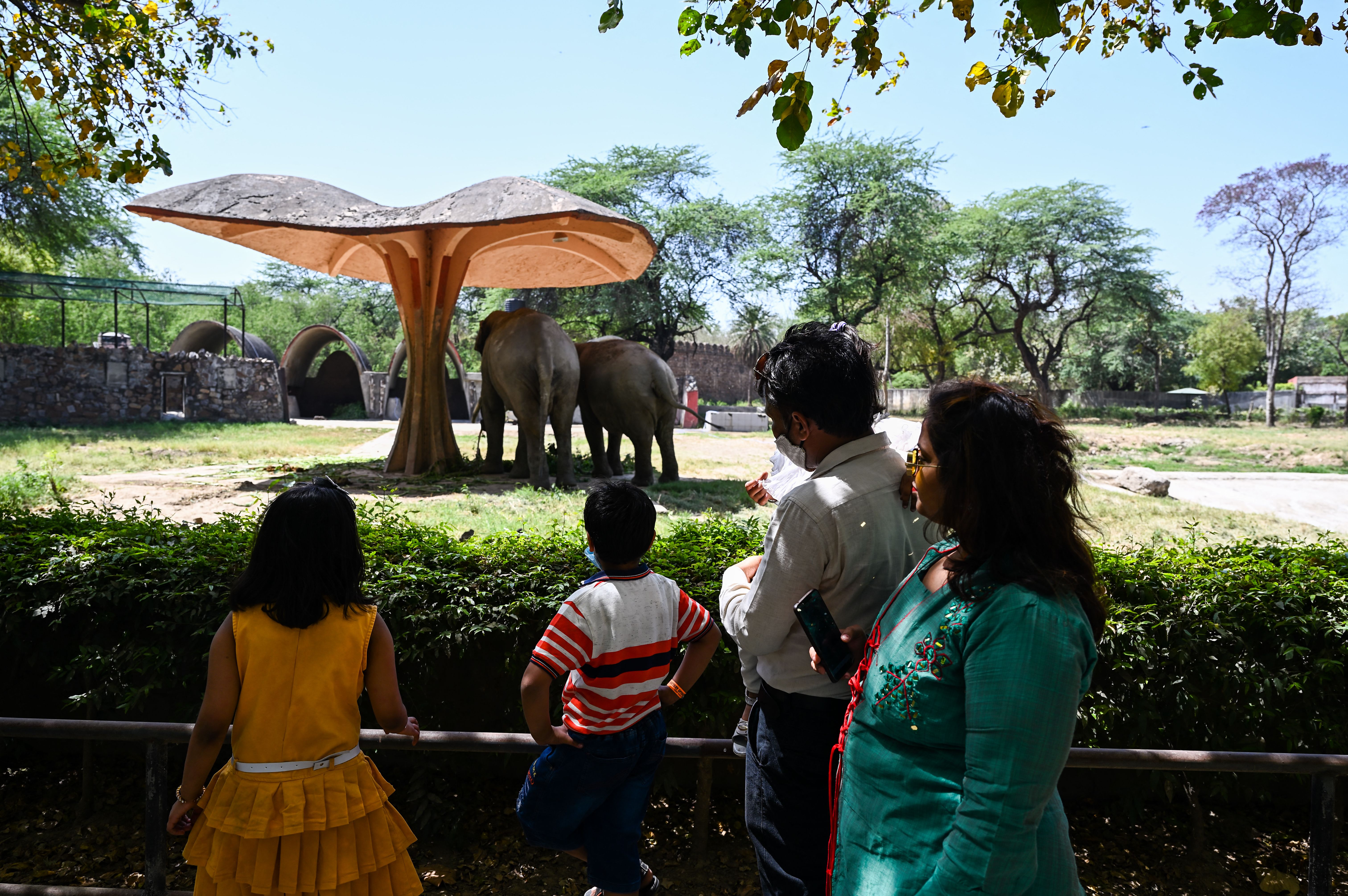 File. Visitors at the Delhi zoo