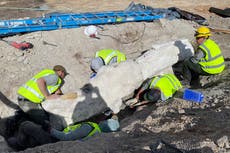 The National Park Service just uncovered a long-necked dinosaur