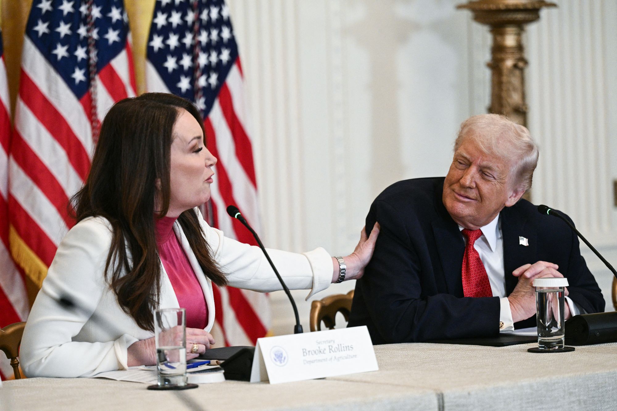 Rollins said chicken and vegetables are less expensive than buying fast food