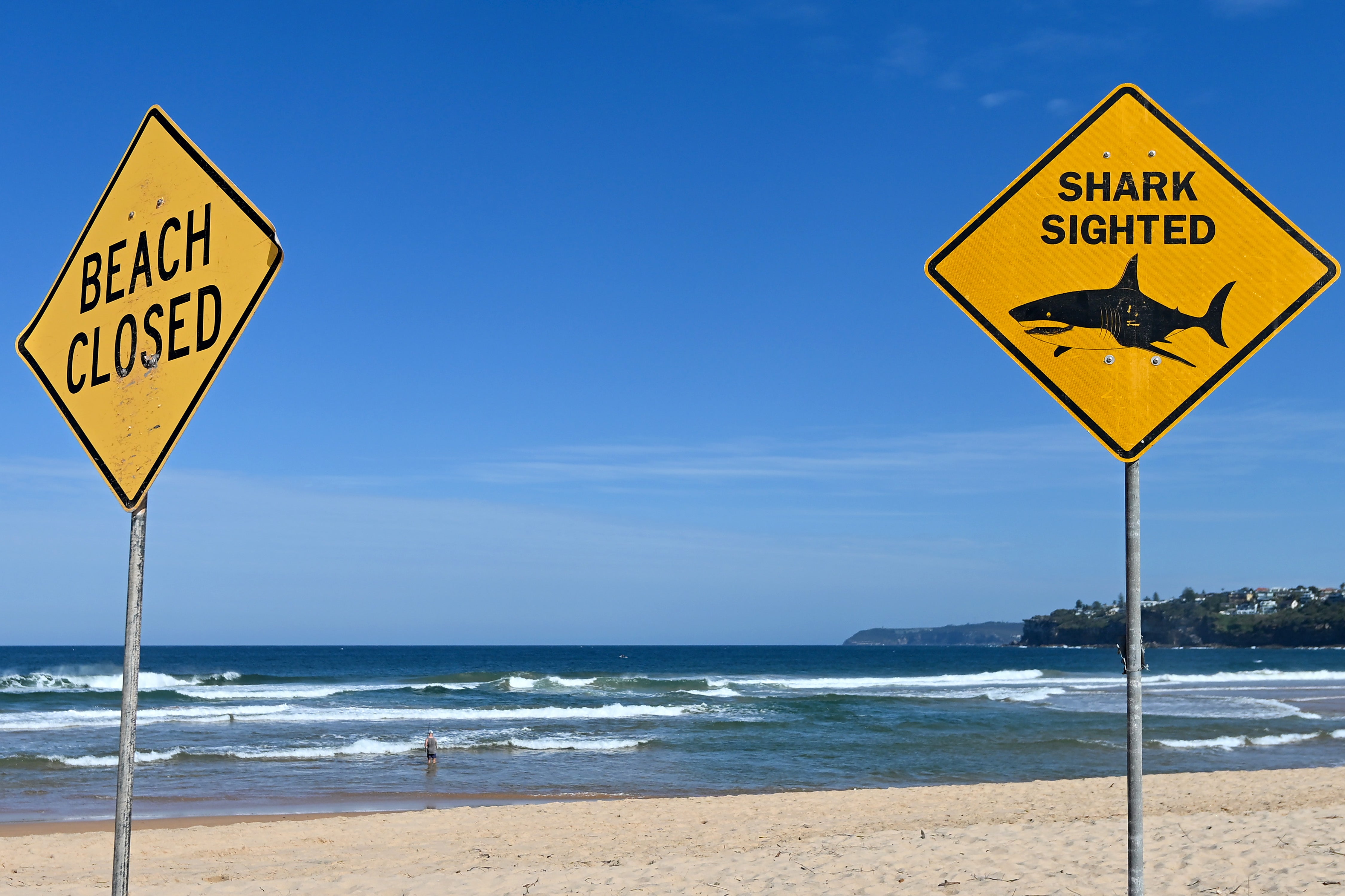 Signs reading ‘Beach Closed’ and ‘Shark Sighted’ are put on at Long Reef Beach as authorities close the beach down on 7 September 2025 in Sydney, Australia