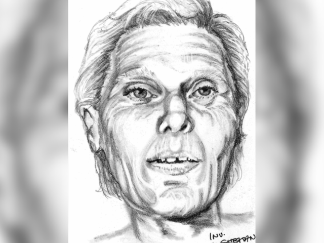 <p>A sketch provided by the DNA Doe Project shows Virginia Irene Nelson, who was killed in a hit-and-run along the Pacific Coast Highway in Laguna Beach in 1982</p>