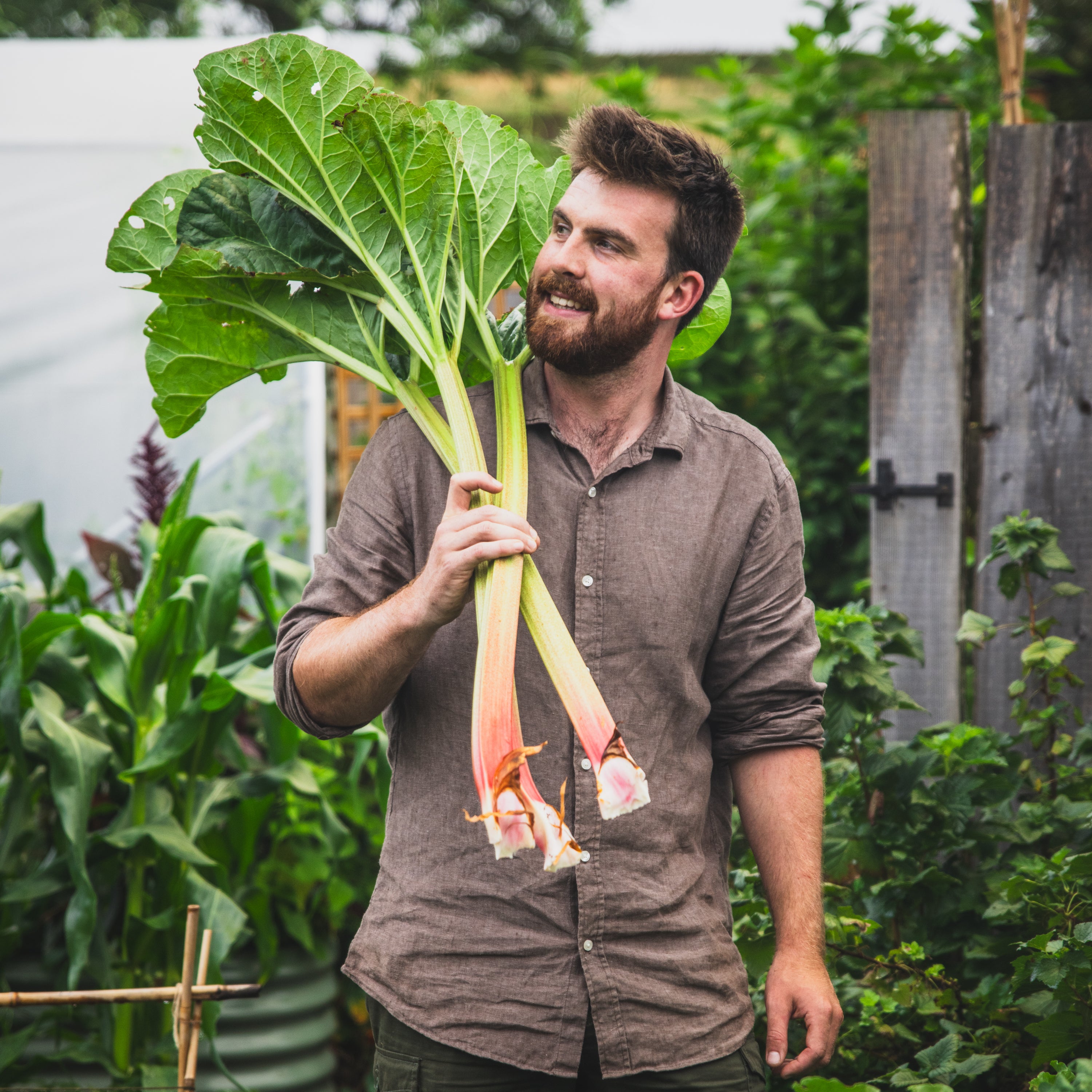 YouTuber and horticulturist Huw Richards offers his tips of sowing seeds indoors