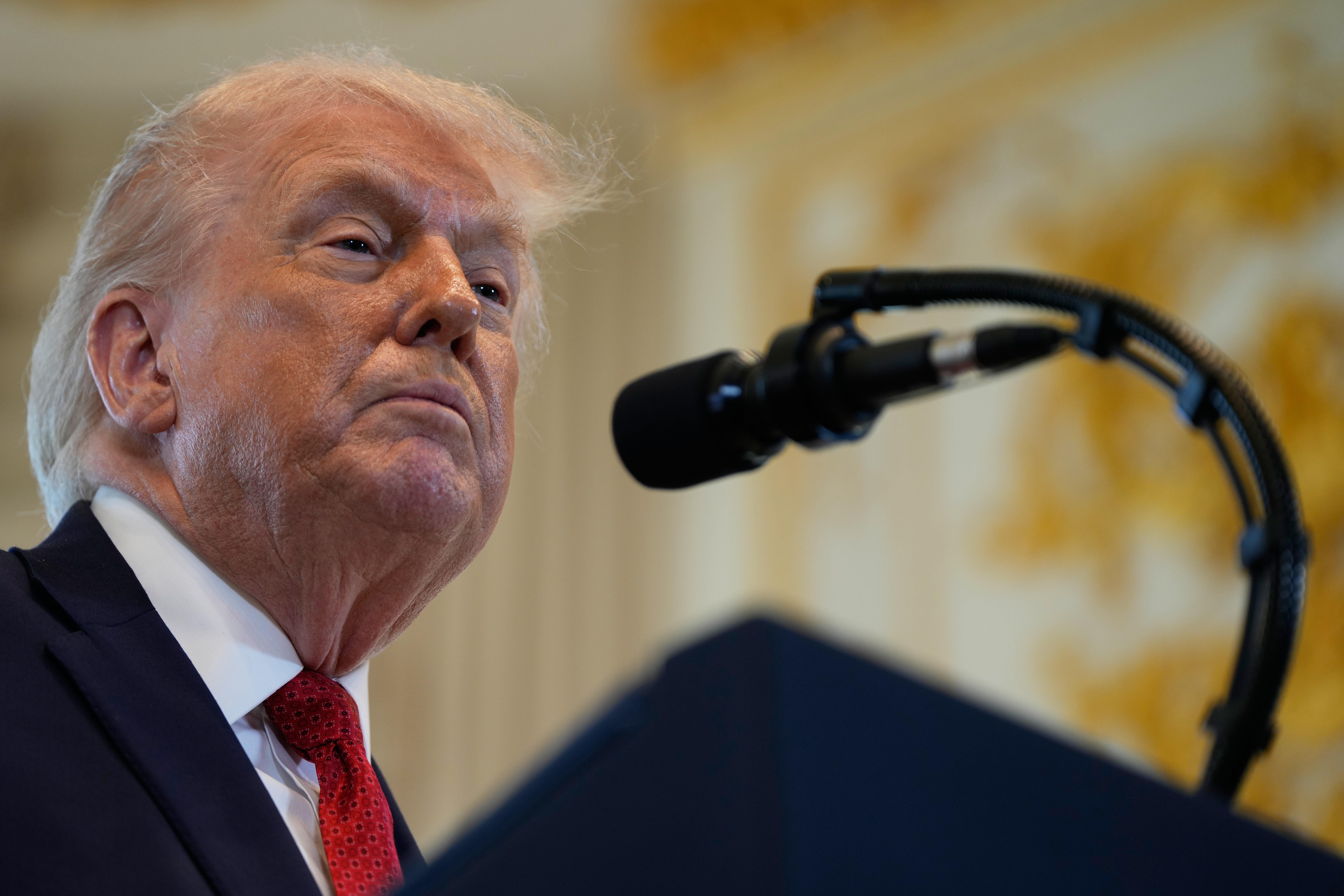 US President Donald Trump has threatened to impose up to 25% tariffs on countries that do not support his plans to take over Greenland (Julia Demaree Nikhinson/AP)