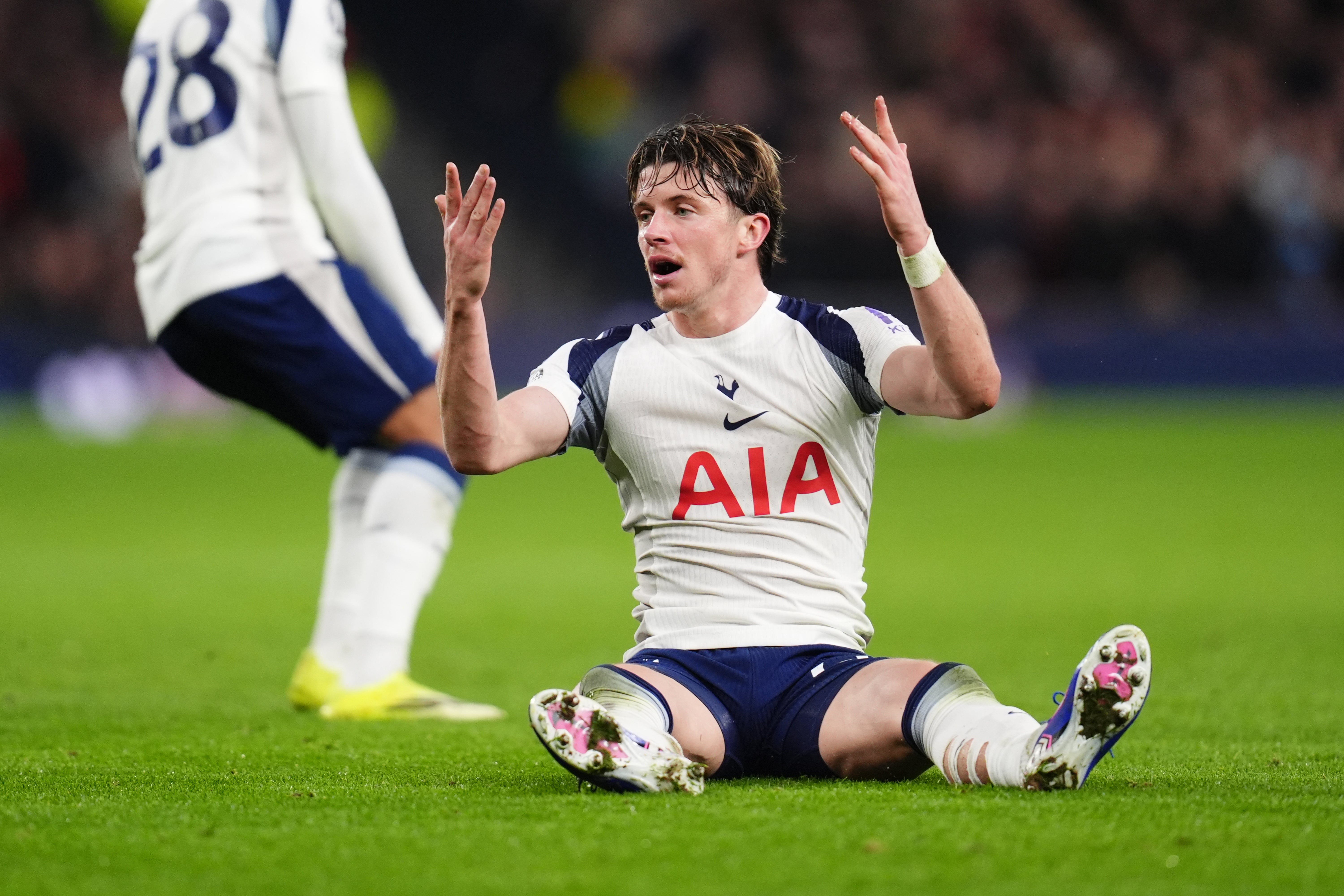 Conor Gallagher was one of just two senior signings for Spurs in January