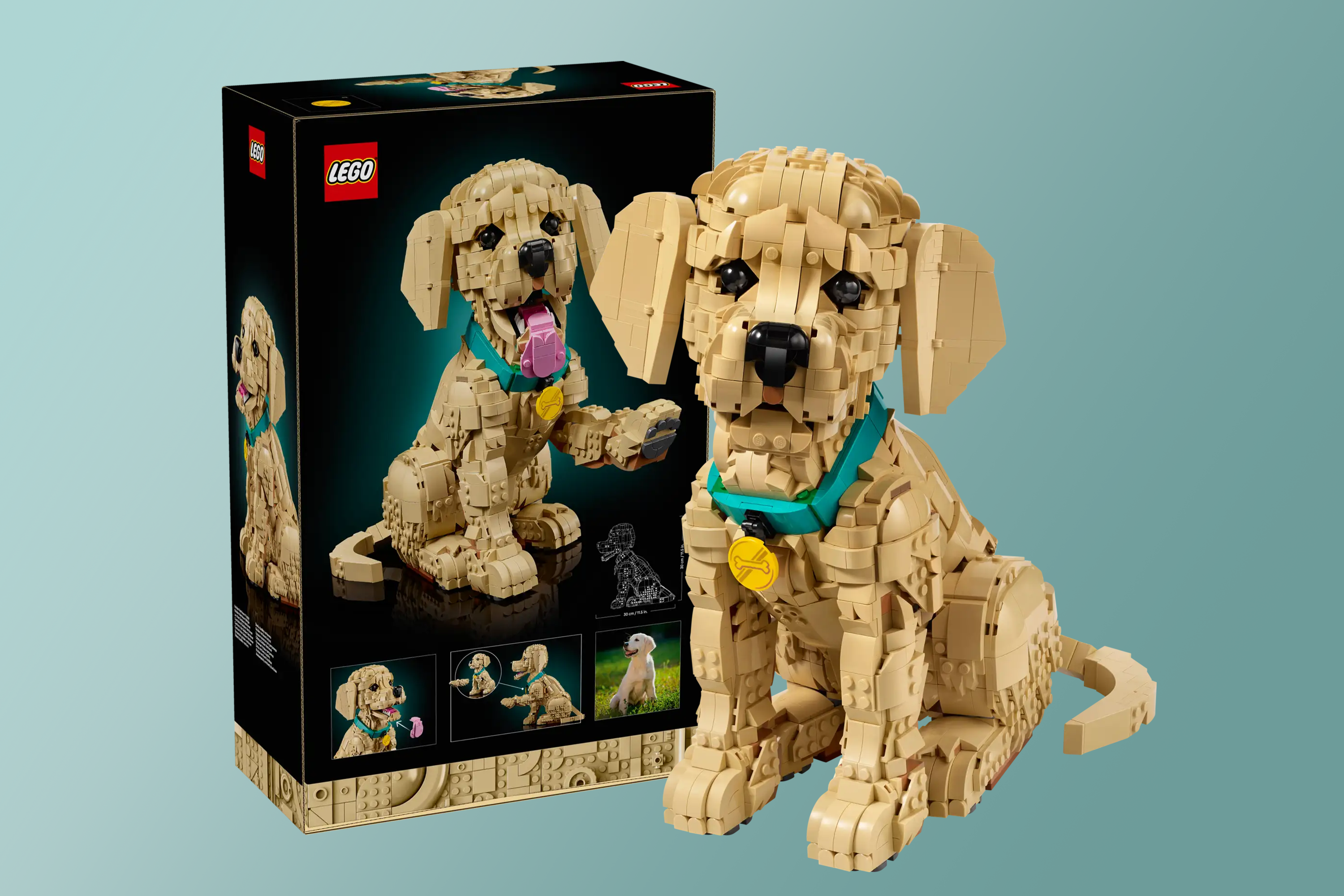 <p>The Lego puppy doesn’t come cheap</p>