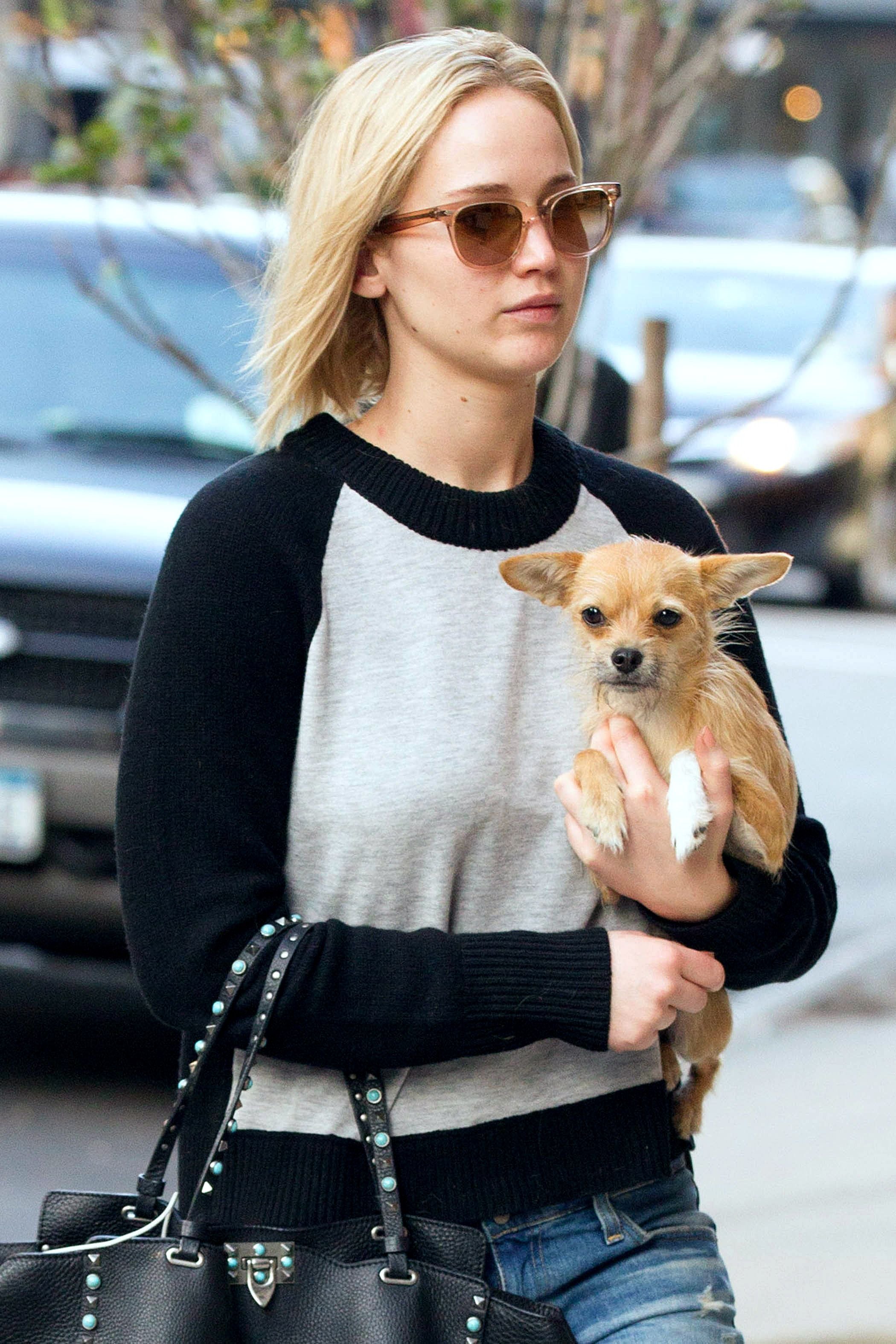 Jennifer Lawrence with her chihuahua Princess Pippi Longstocking