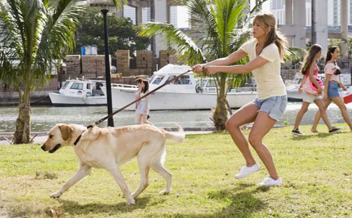 Burden: Marley’s role changes dramatically after children arrive