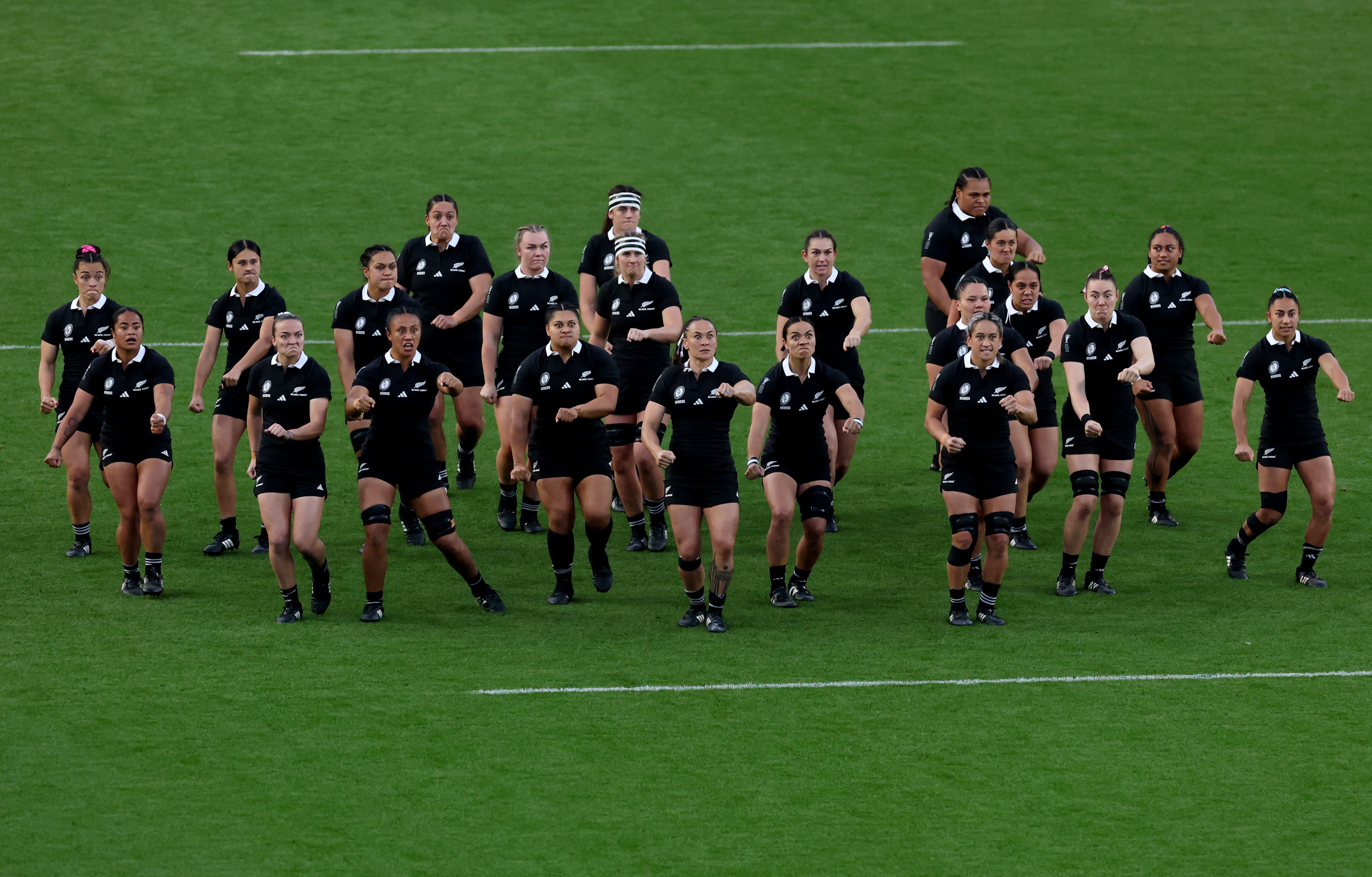 The Lions will take on the Black Ferns in 2027