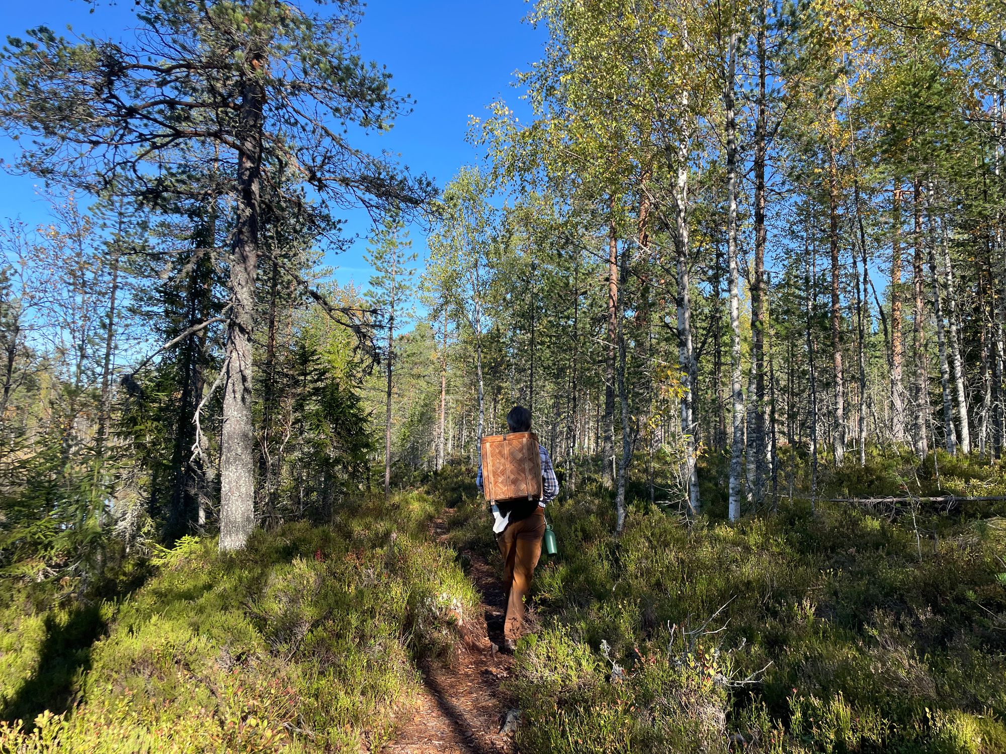 Following guide Daniel Nilsson through the woods