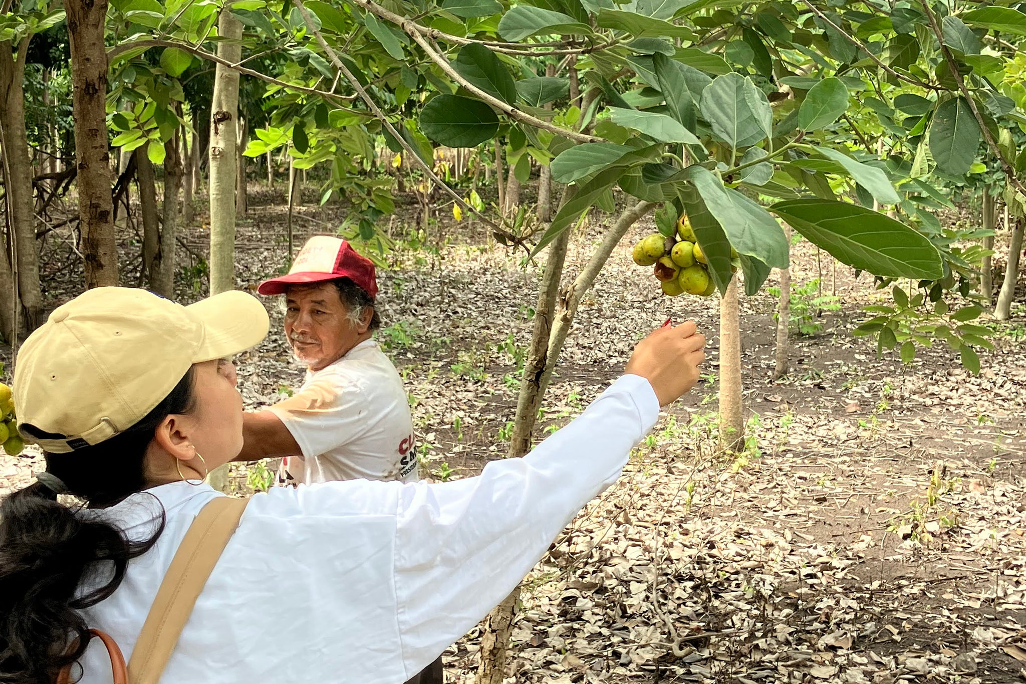 Don José’s father-in-law, José Roberto, controls a parcel of land far outside the main settlement