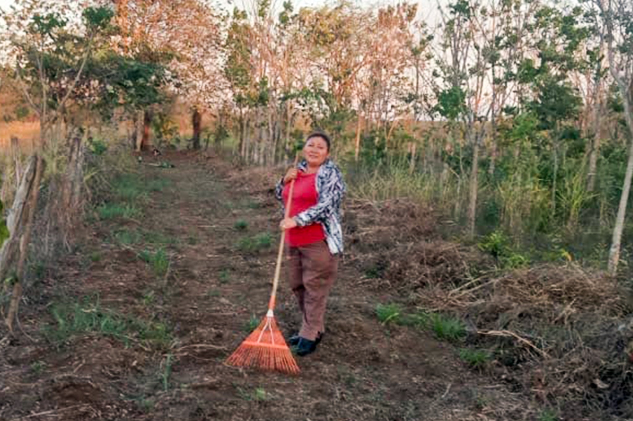 An Ejidatario working a Sembrando Vida plot in Cinco de Febrero, Campeche, Mexico in 2025