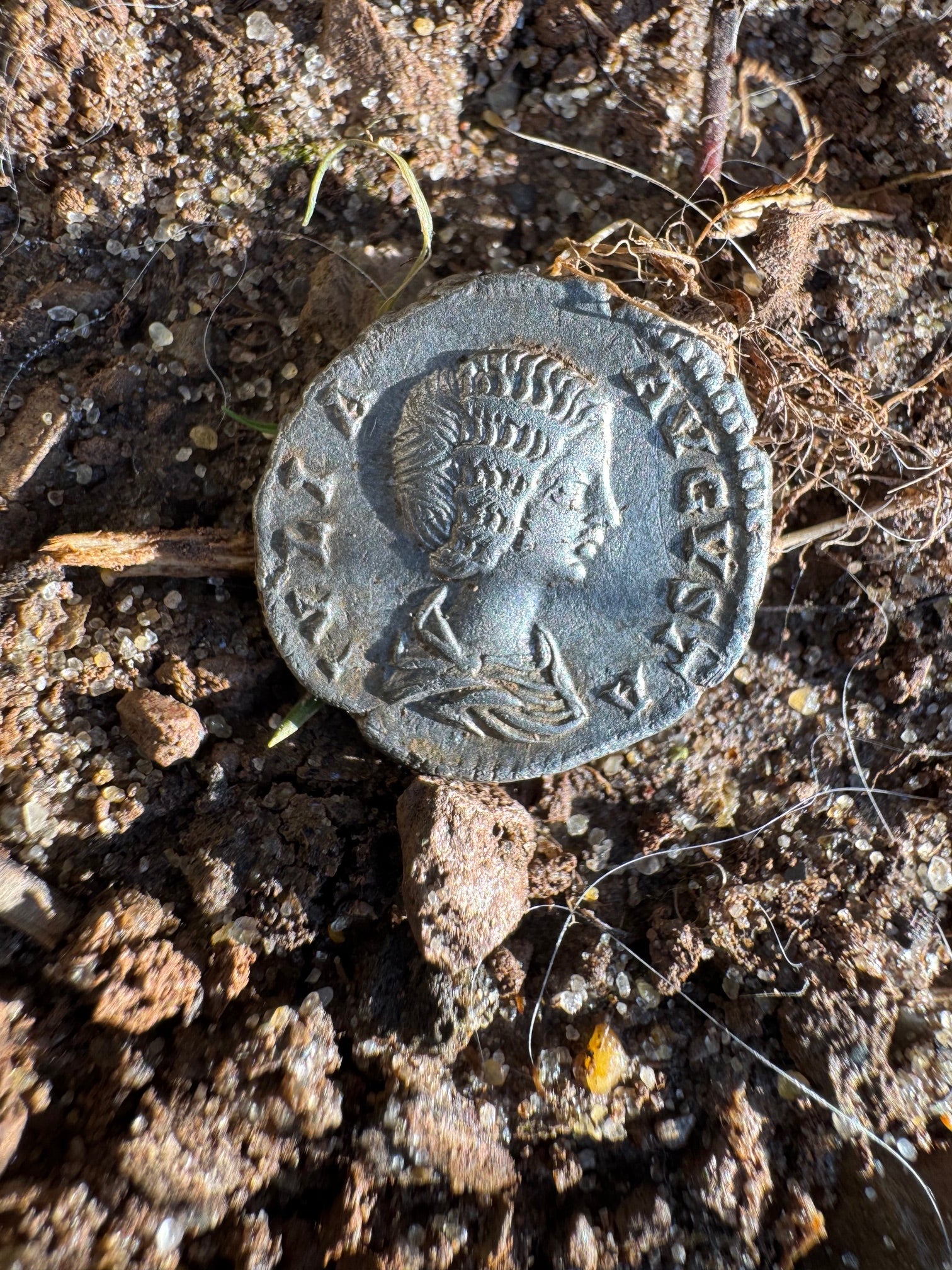 The silver roman coin bearing the face of Julia Domna, which Ms Verrecchia found in a field in Wiltshire
