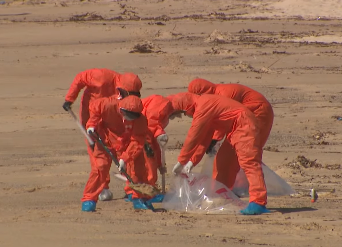 Workers clearing ‘poo-balls’ at Sydney’s Malabar beach