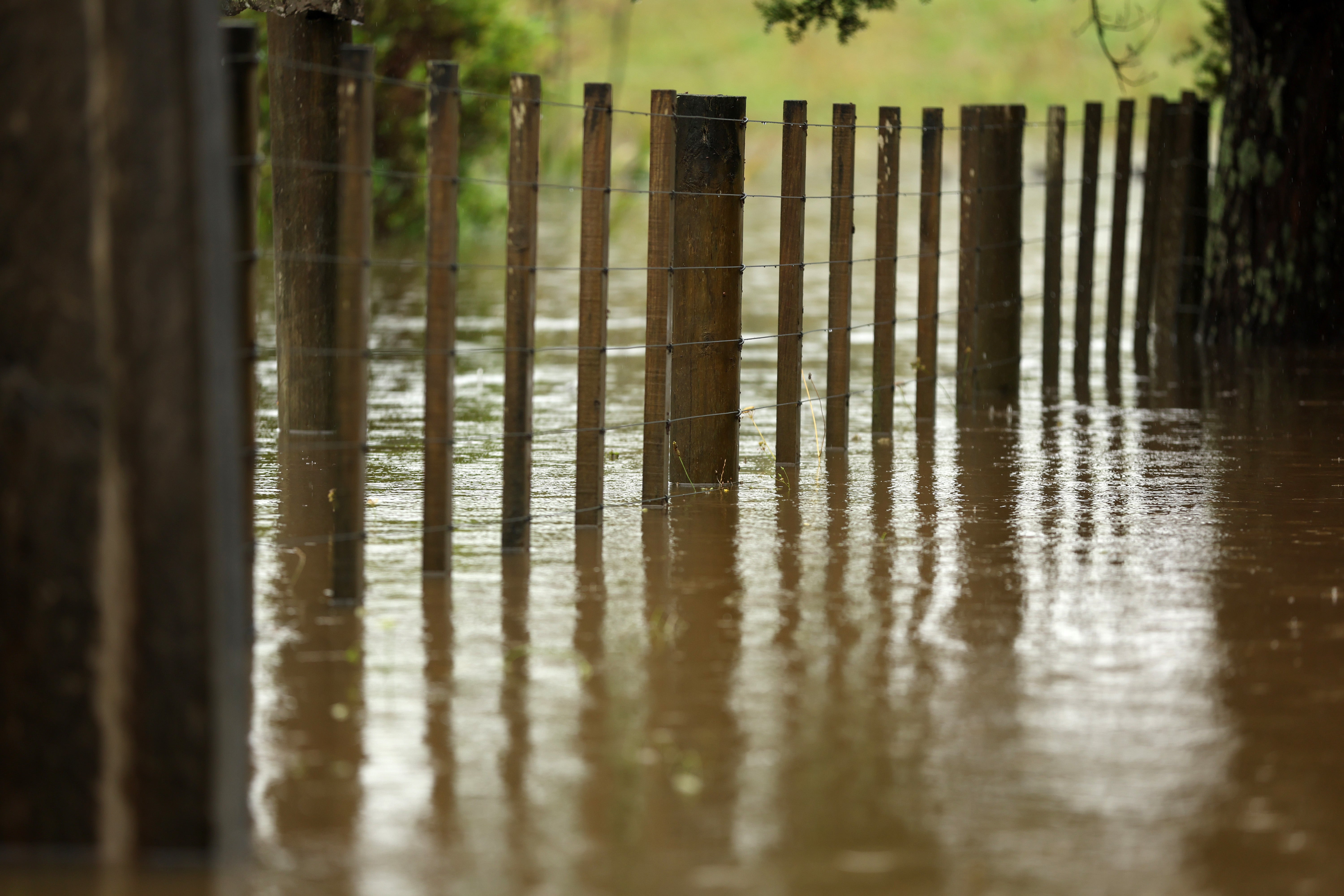 A flooded paddock in Kaipara Flats in Auckland, New Zealand