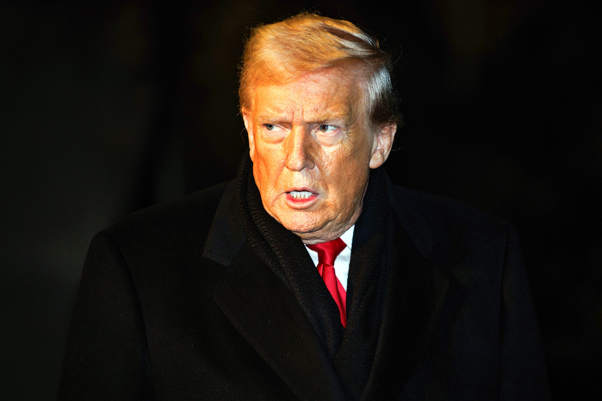 President Donald Trump has long called for election ‘reform,’ insisting his defeat to Joe Biden in the 2020 race was the result of widespread fraud, which has never been proven