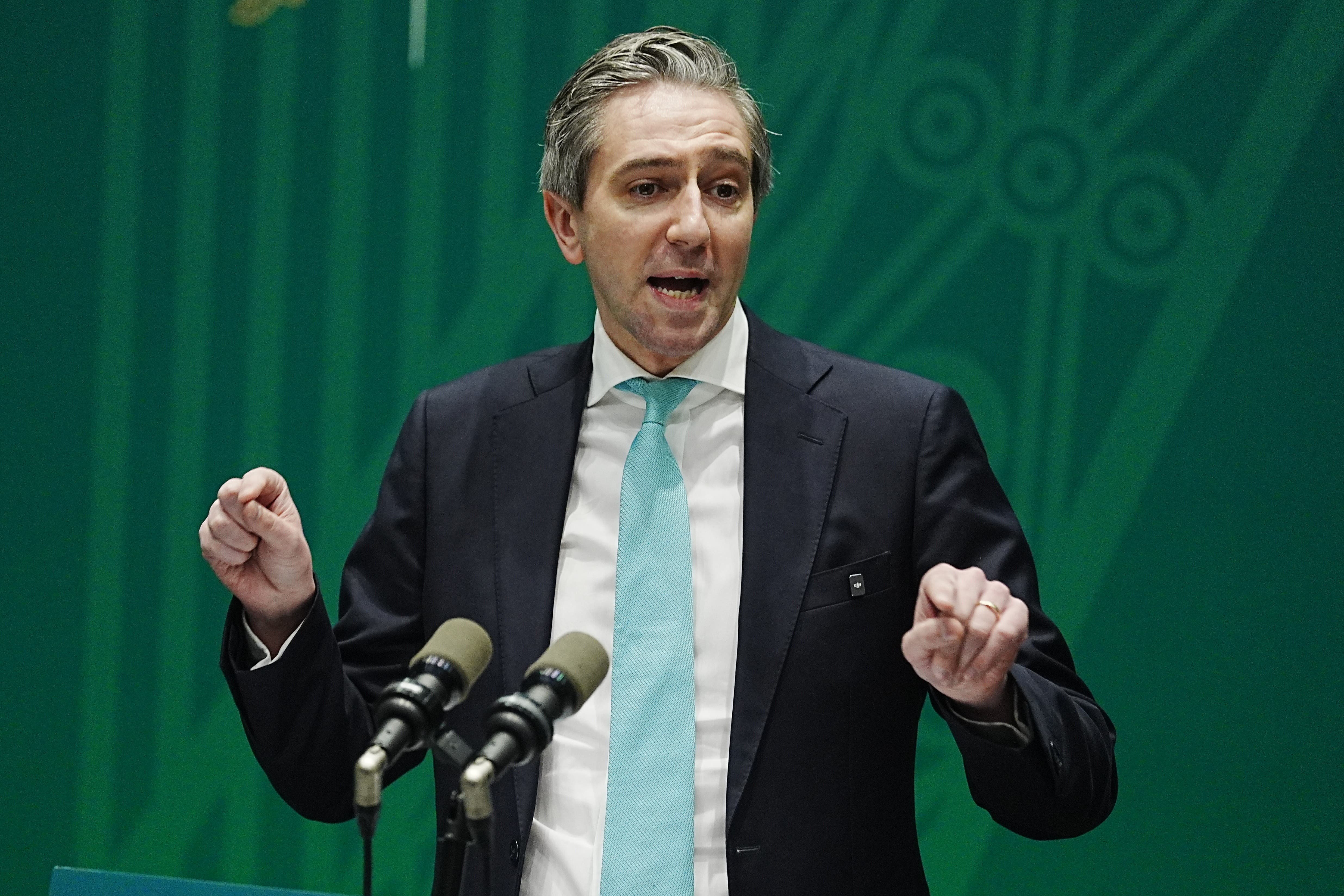 Tanaiste and Finance Minister Simon Harris (PA)