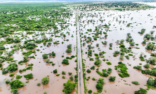 <p>Of the 13 people reported dead from the floods in Mozambique, three were killed by crocodiles, authorities said </p>