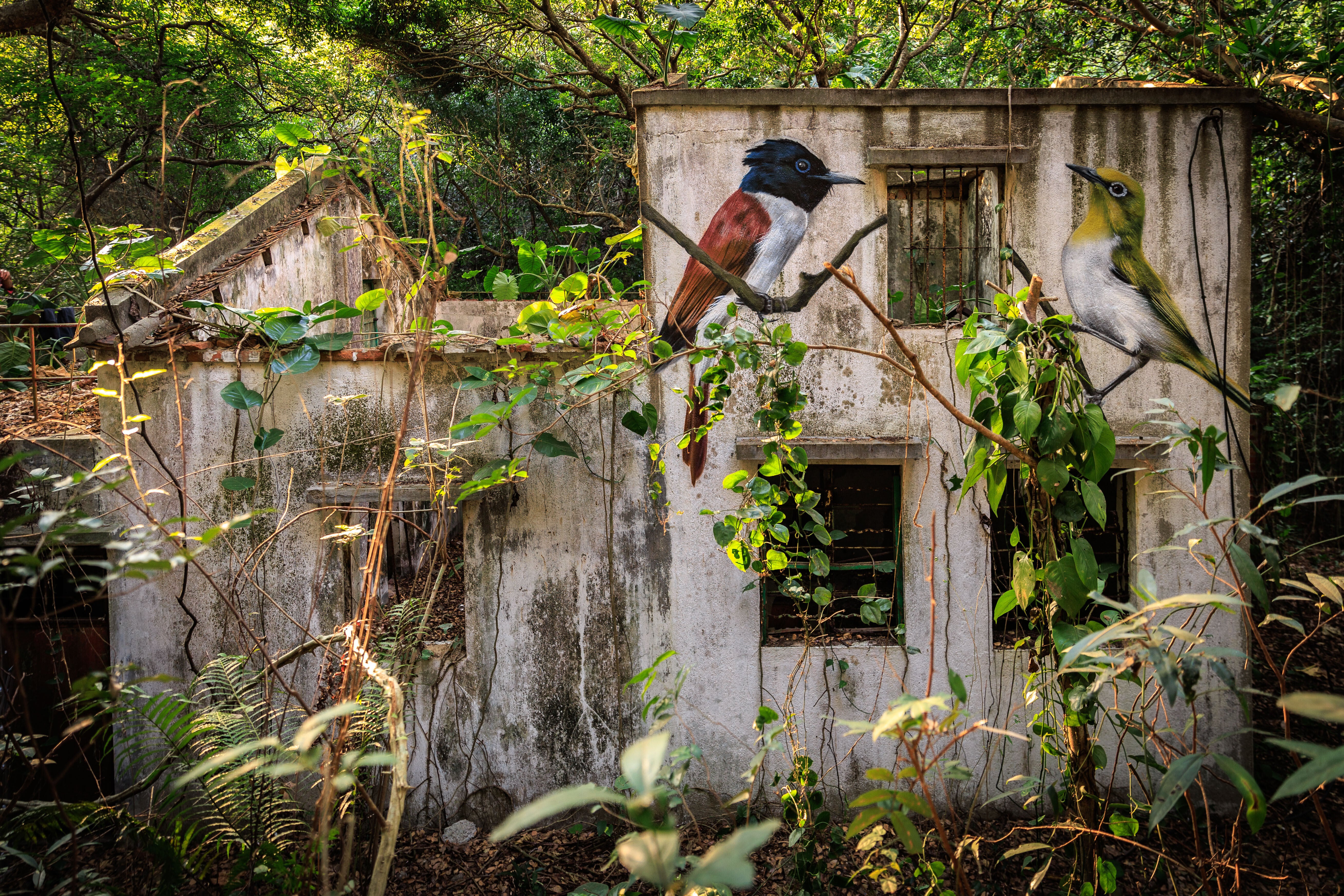Hong Kong Bird Murals Photo Gallery