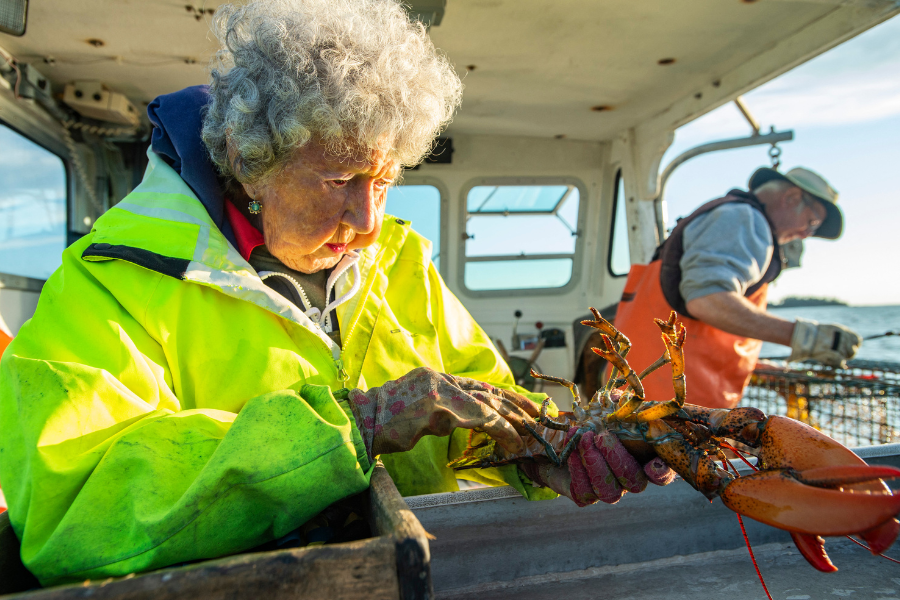 Virginia 'Ginny' Oliver, Maine’s oldest lobster trapper who hauled lobsters right up until her final days, died Wednesday at the remarkable age of 105